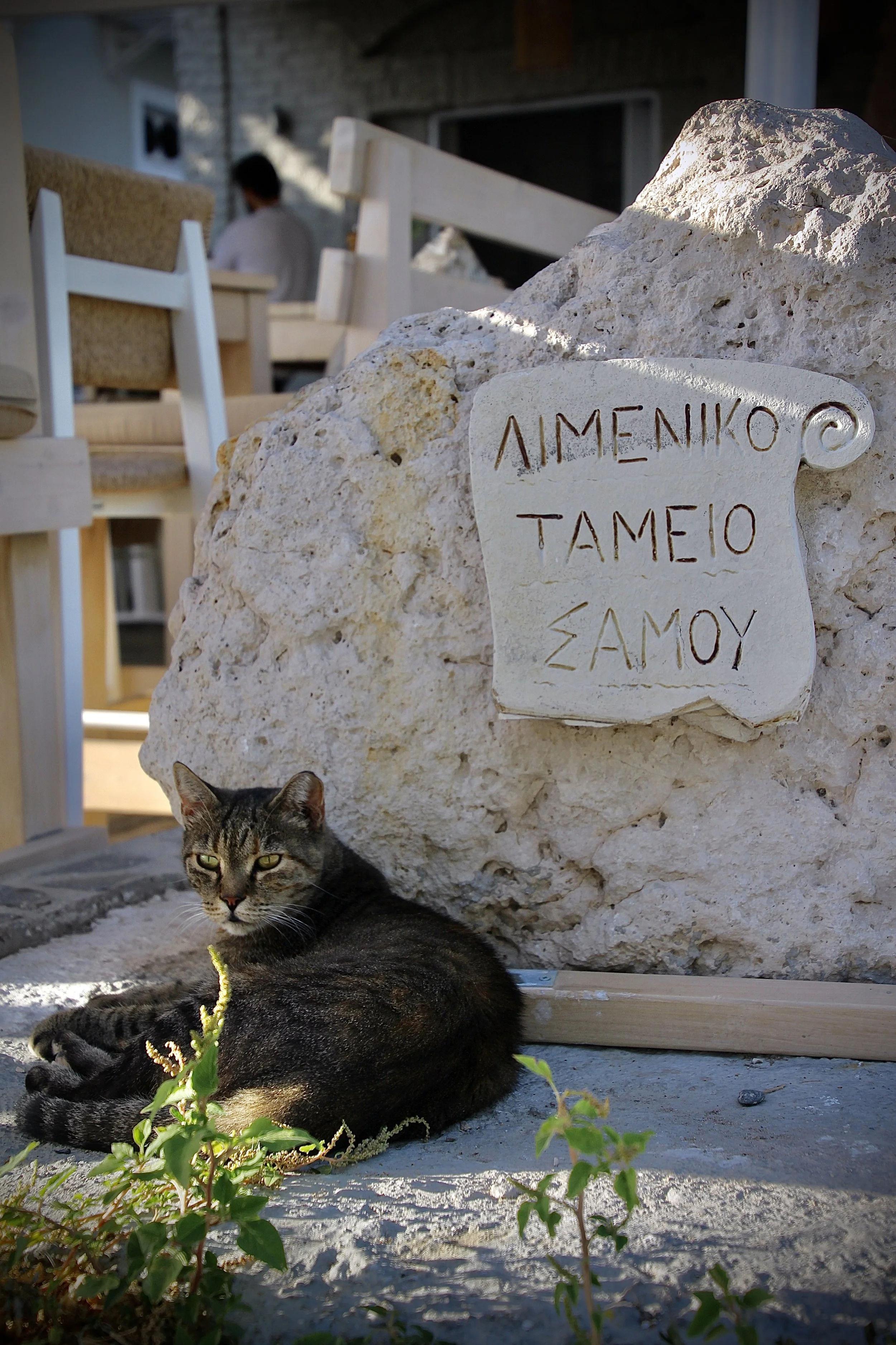 Taverna Guardian.JPG