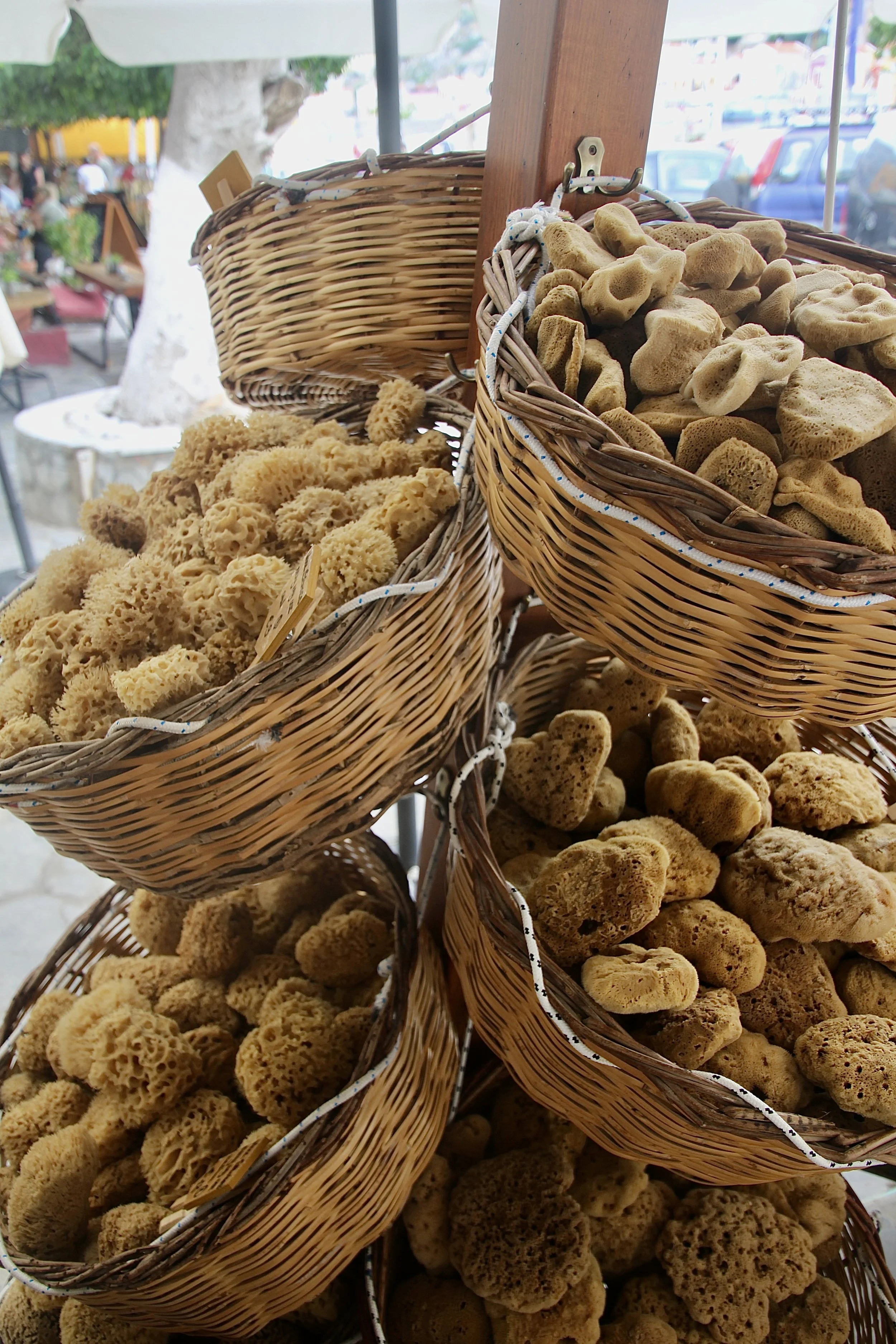 Harvest of the Deep.JPG