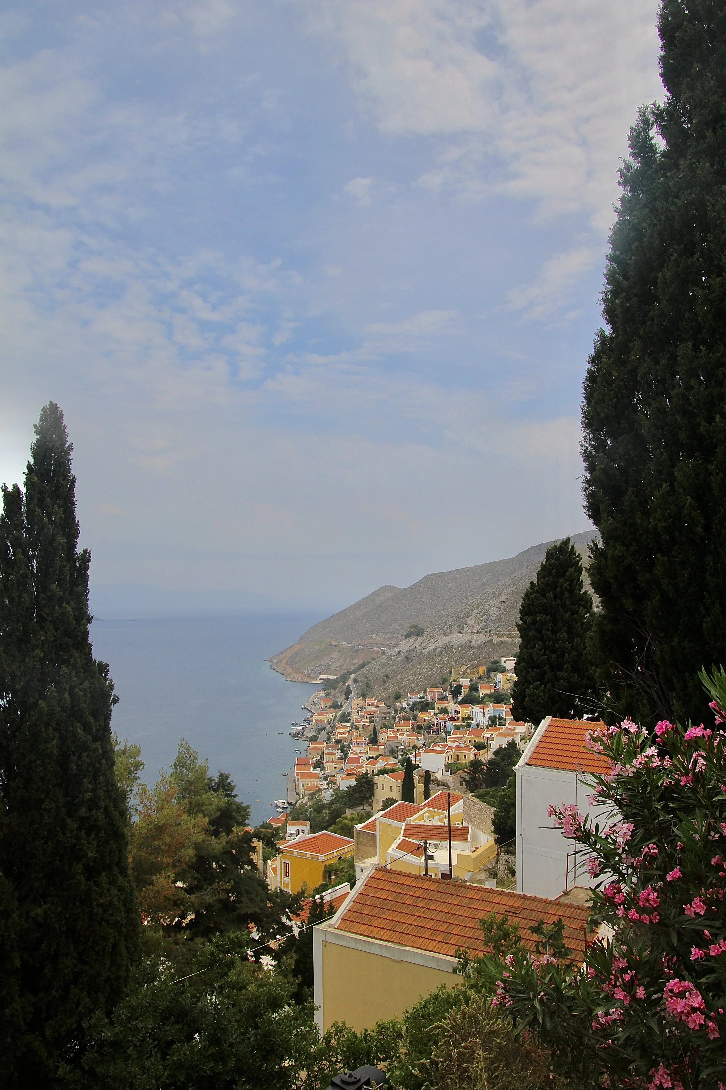 Through Cypress and Oleander.JPG