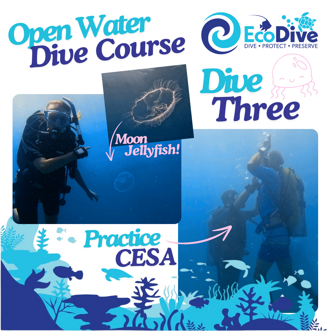 OWCourseCert5.png