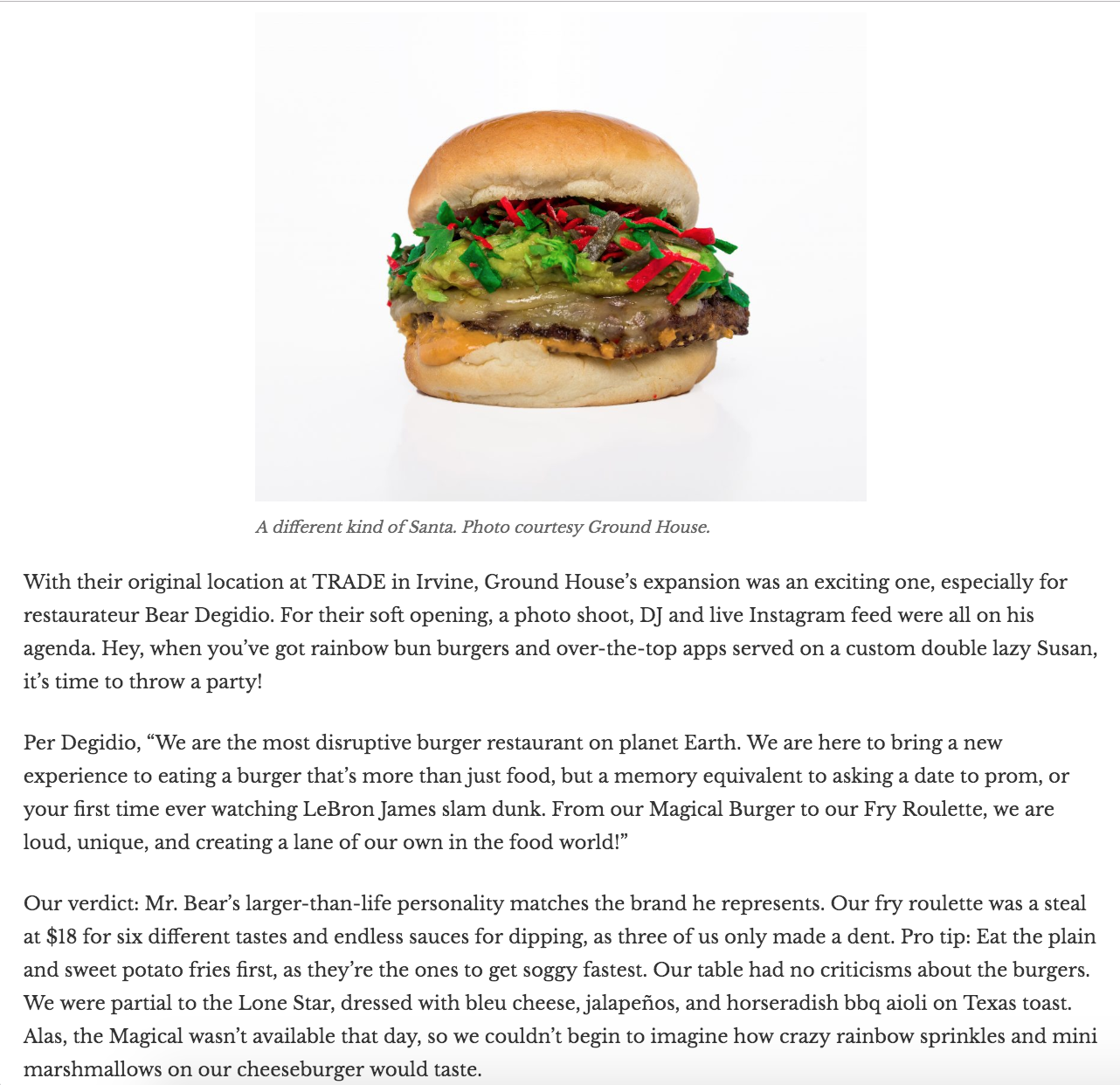 Hype Ground House Burger