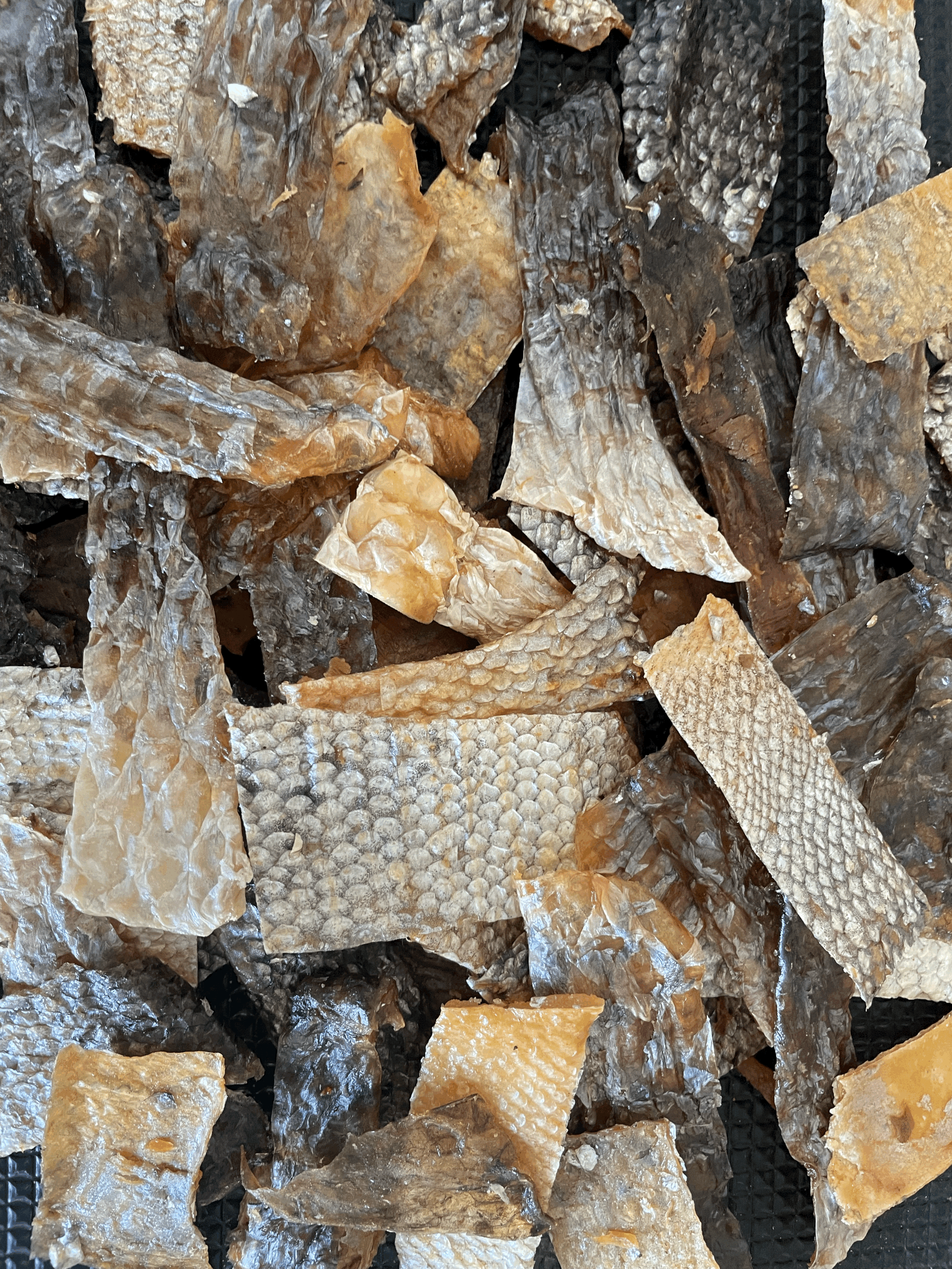 Crispy Salmon Bacon Bits