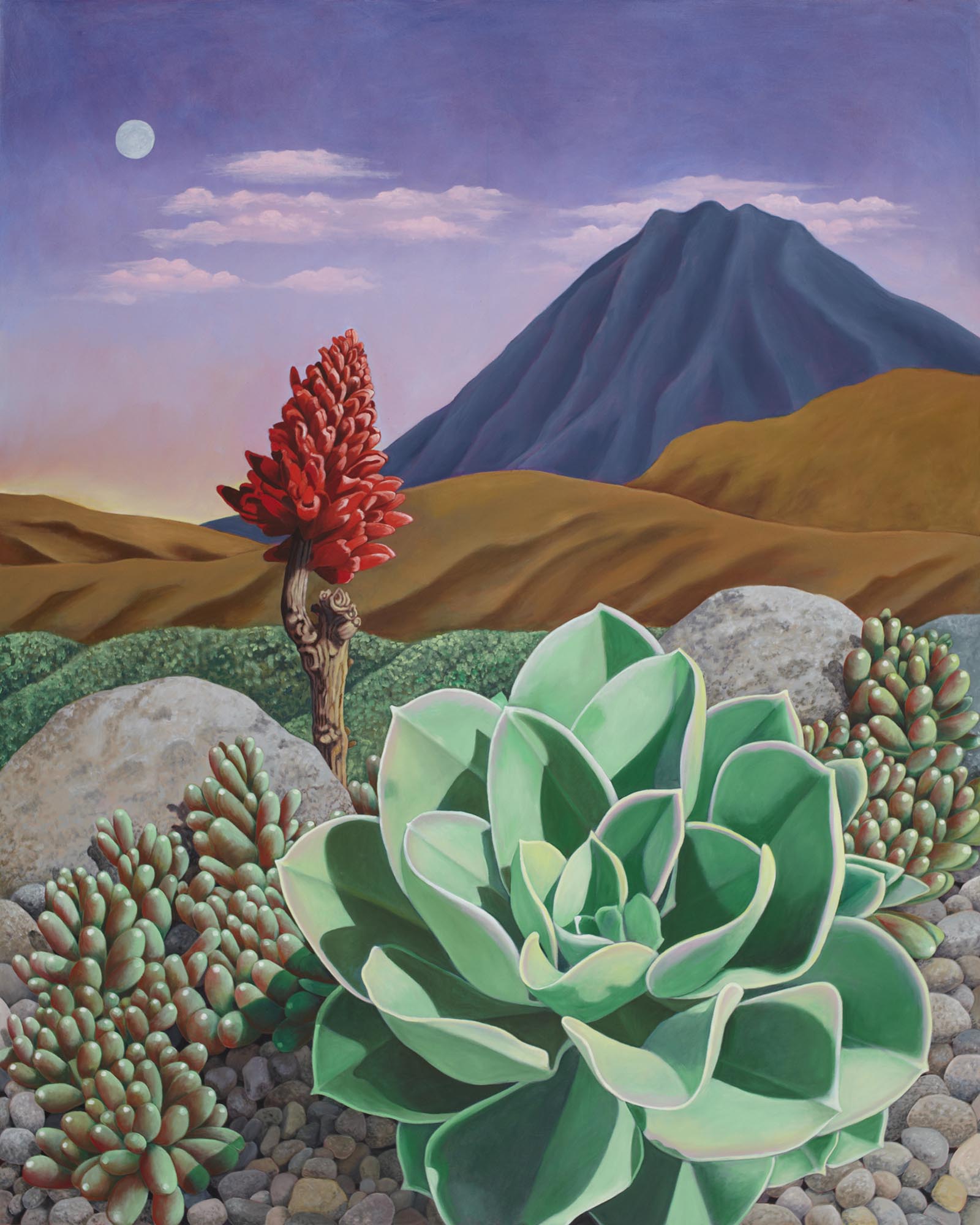 Late Light, 60 x 48 inches