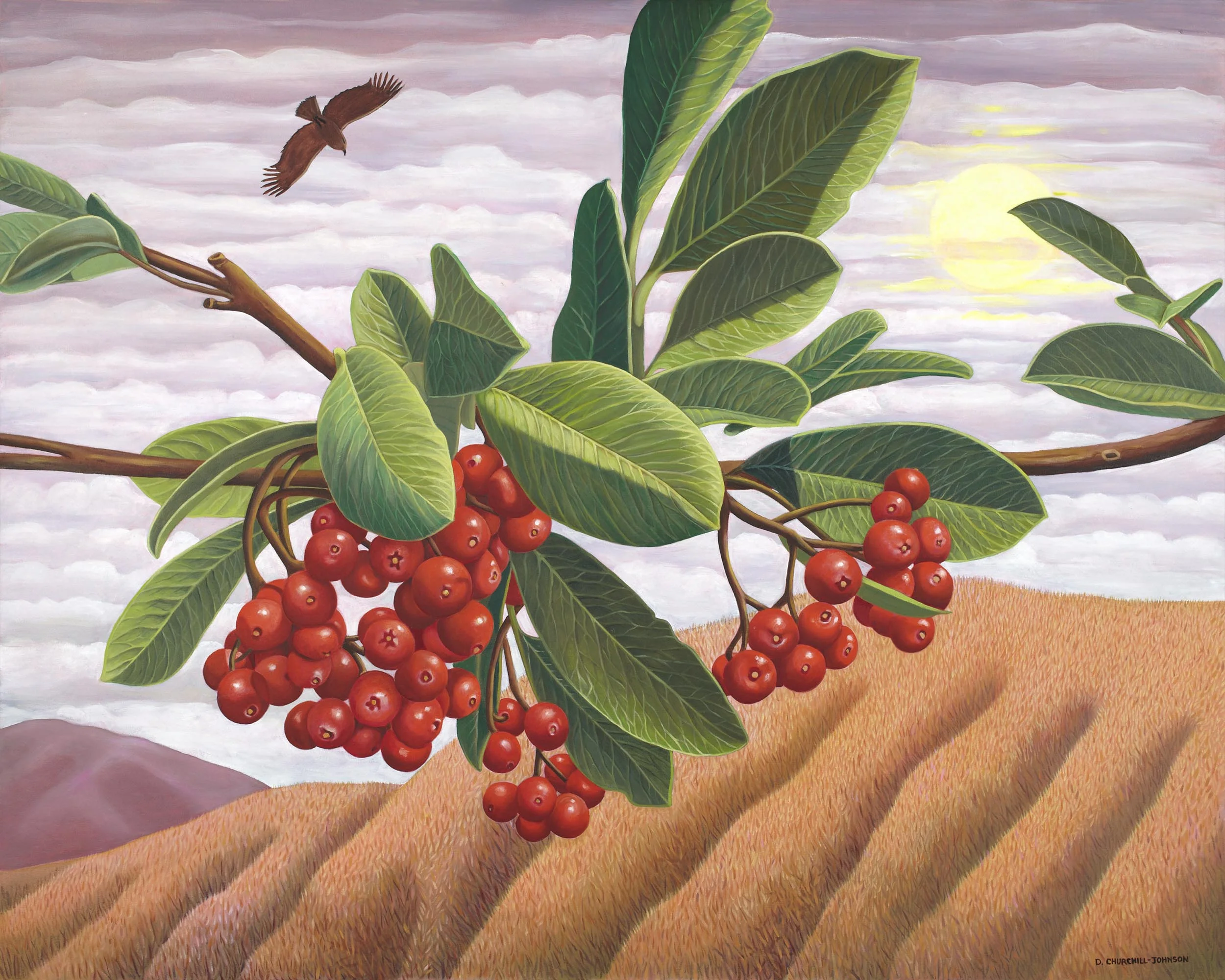 Waiting for Rain, 48 x 60 inches