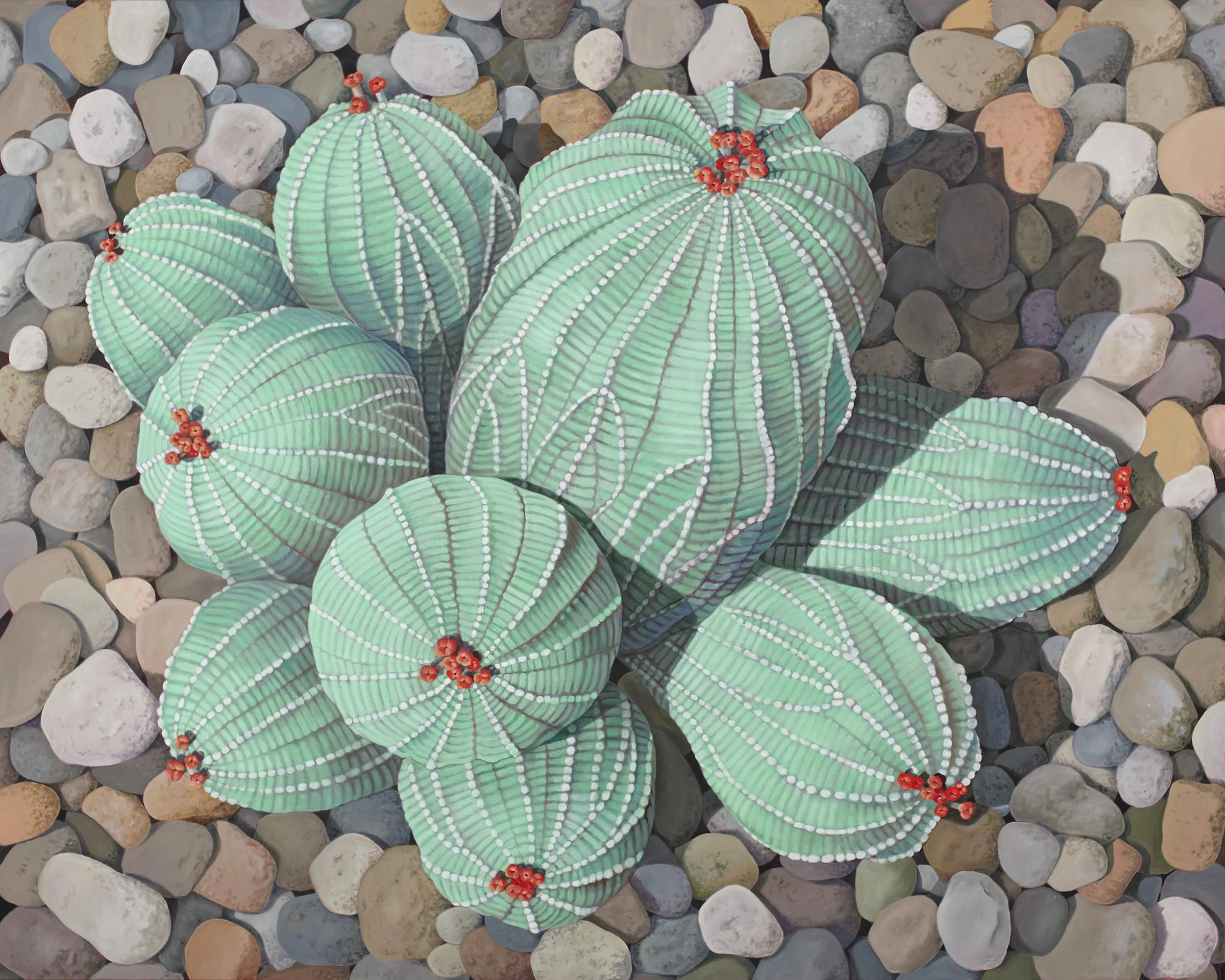 Euphorbia 3, 48 x 60 inches