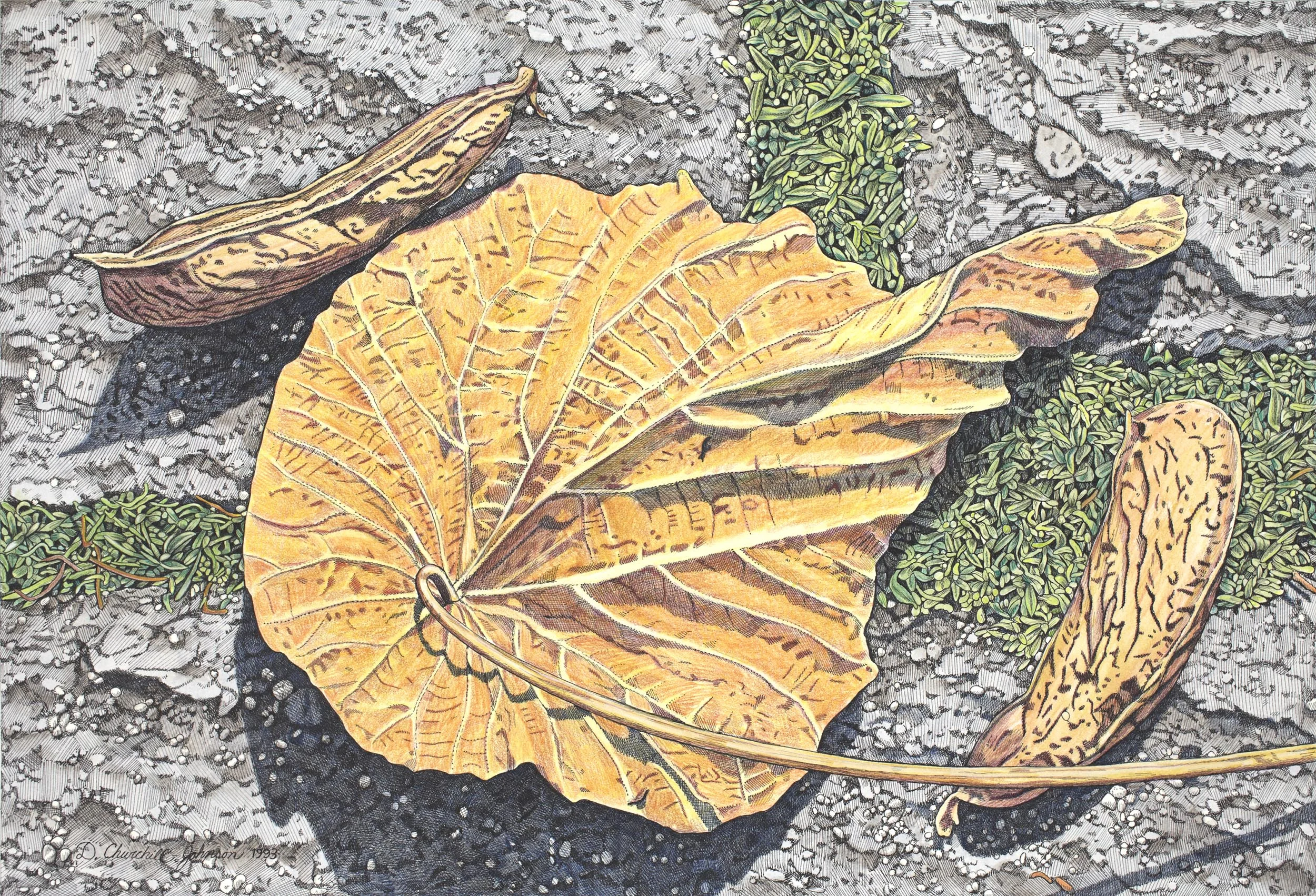 Pods from Mai Po, 15 x 32 inches