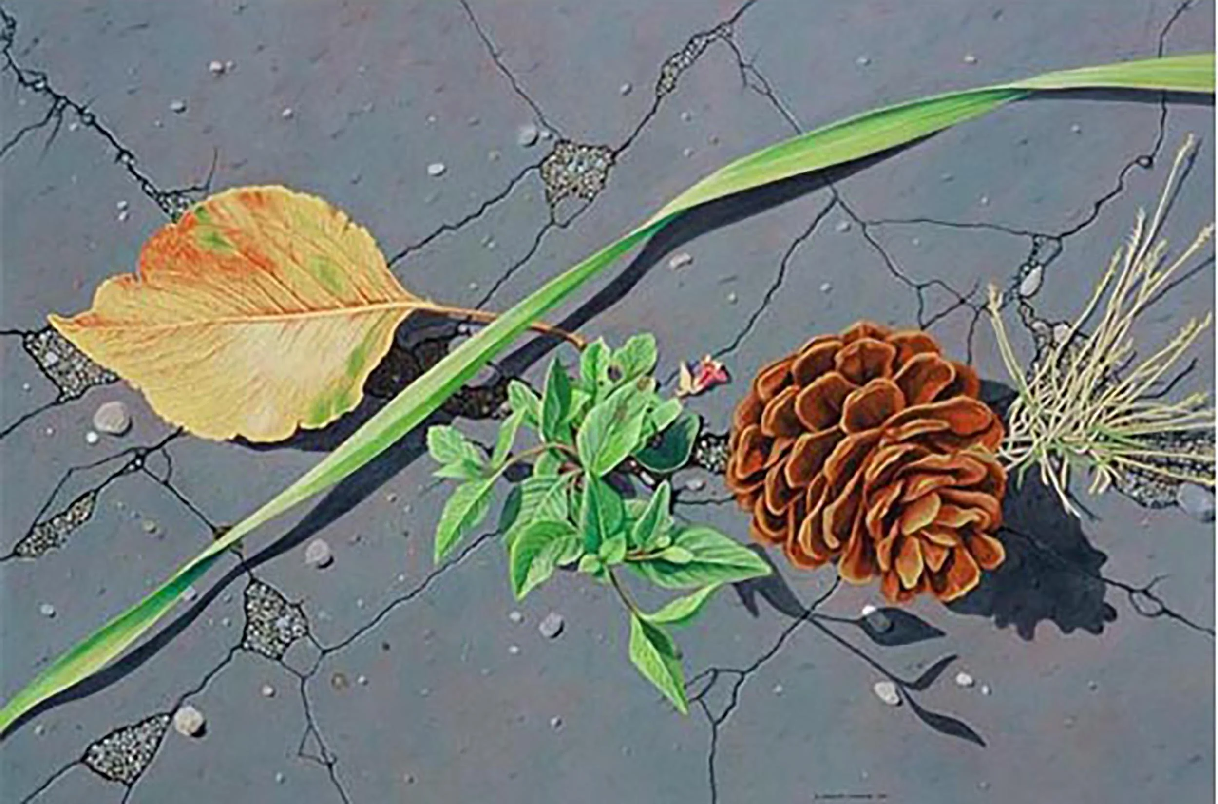 Gifts of the Wind, 48 x 72 inches