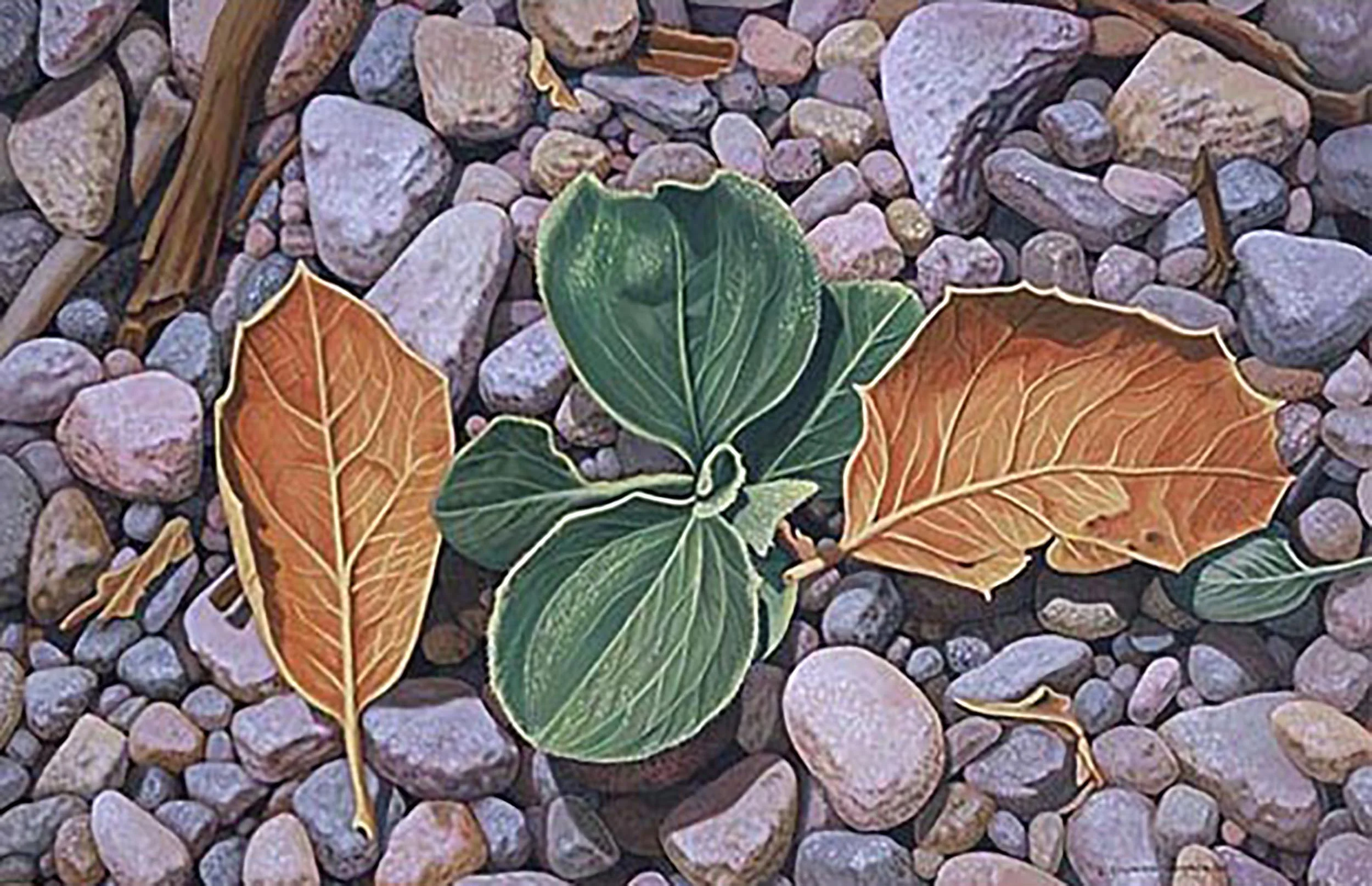 Path Under Oak, 24 x 36 inches