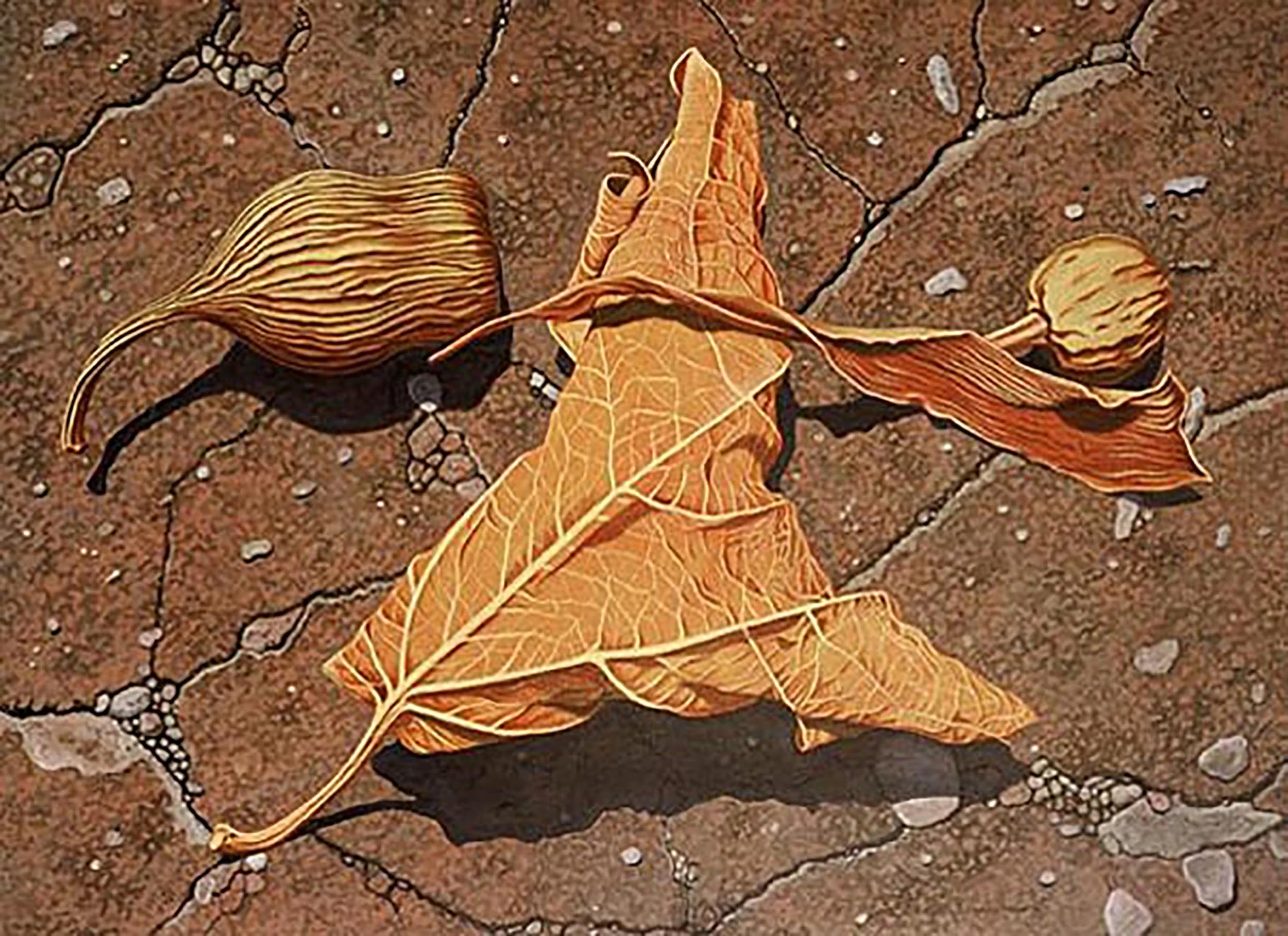 Pods in the Wind, 36 x 48 inches