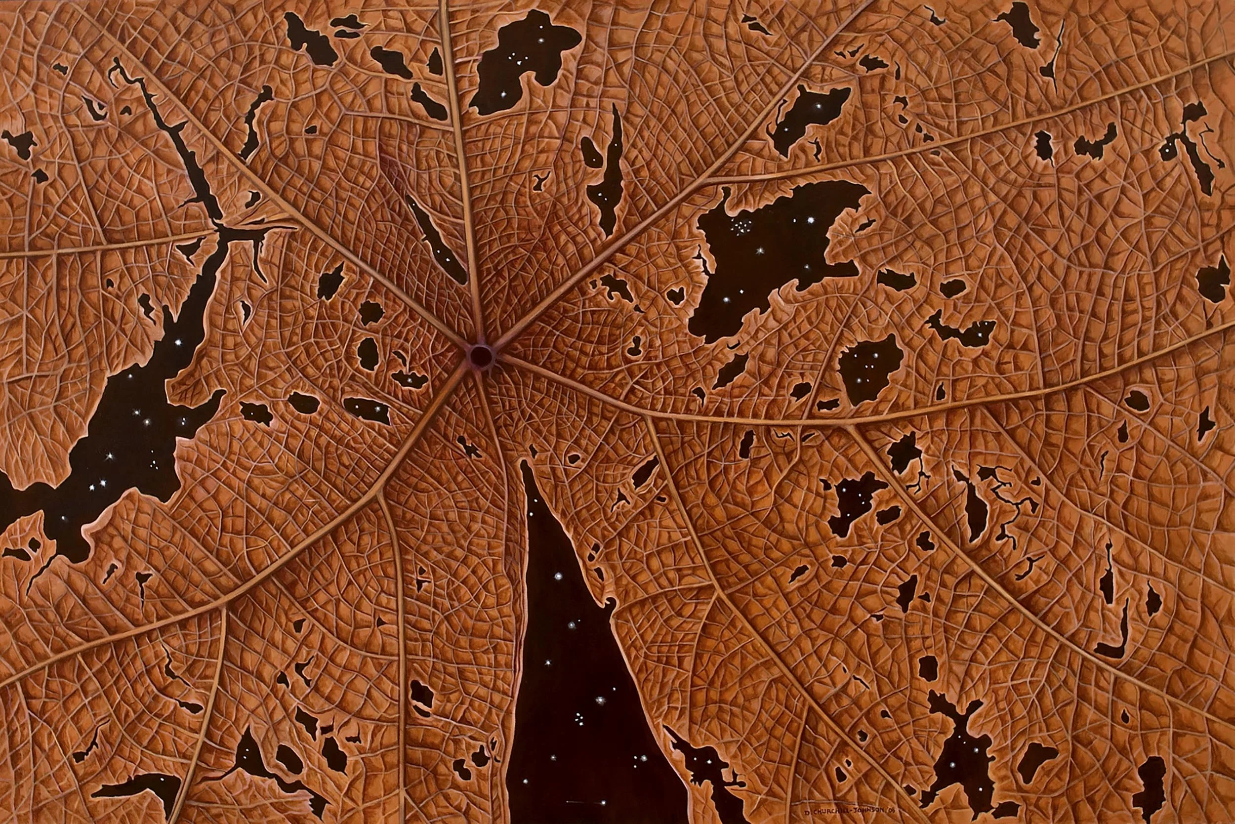 Entropy, 48 x 72 inches