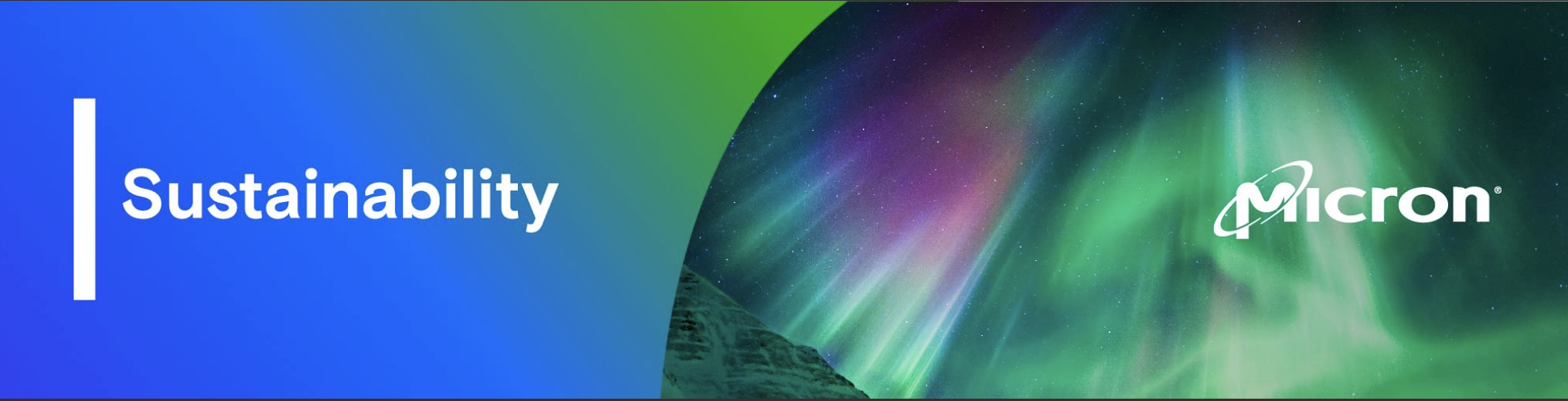 web banner