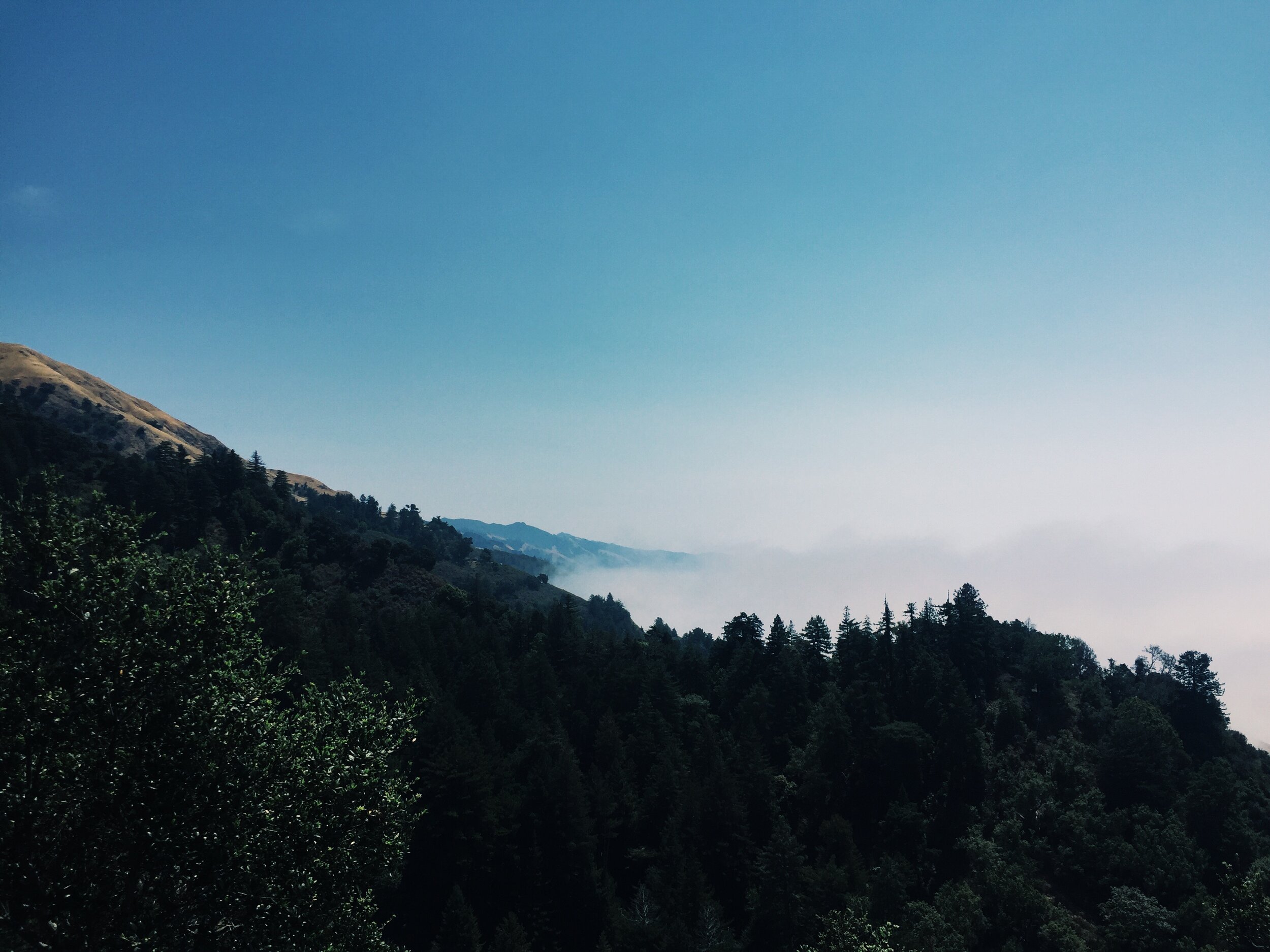 BigSur-Nepenthe-view.jpg