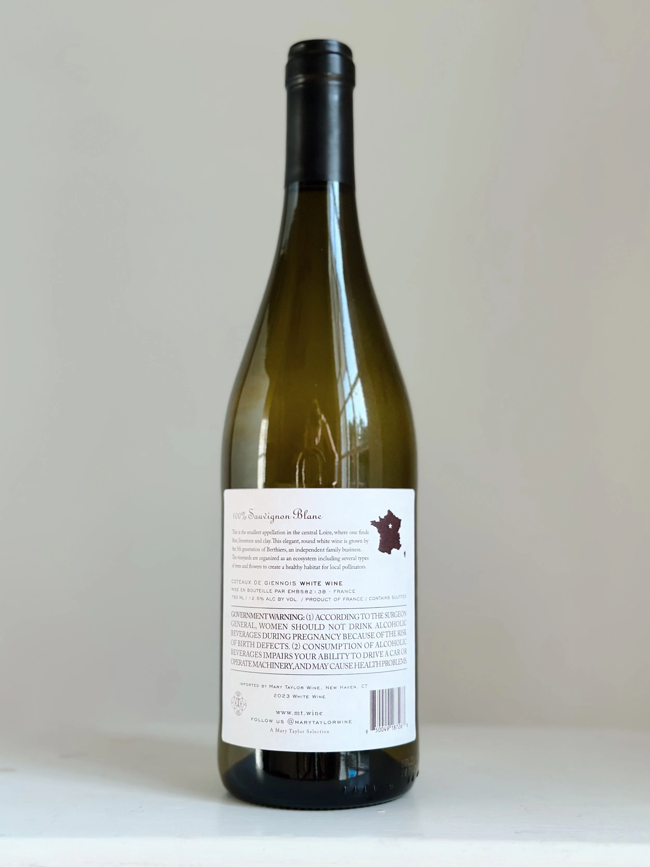 BTL-Mary Taylor MT3 2023 Côteaux du Giennois Blanc-back.JPG