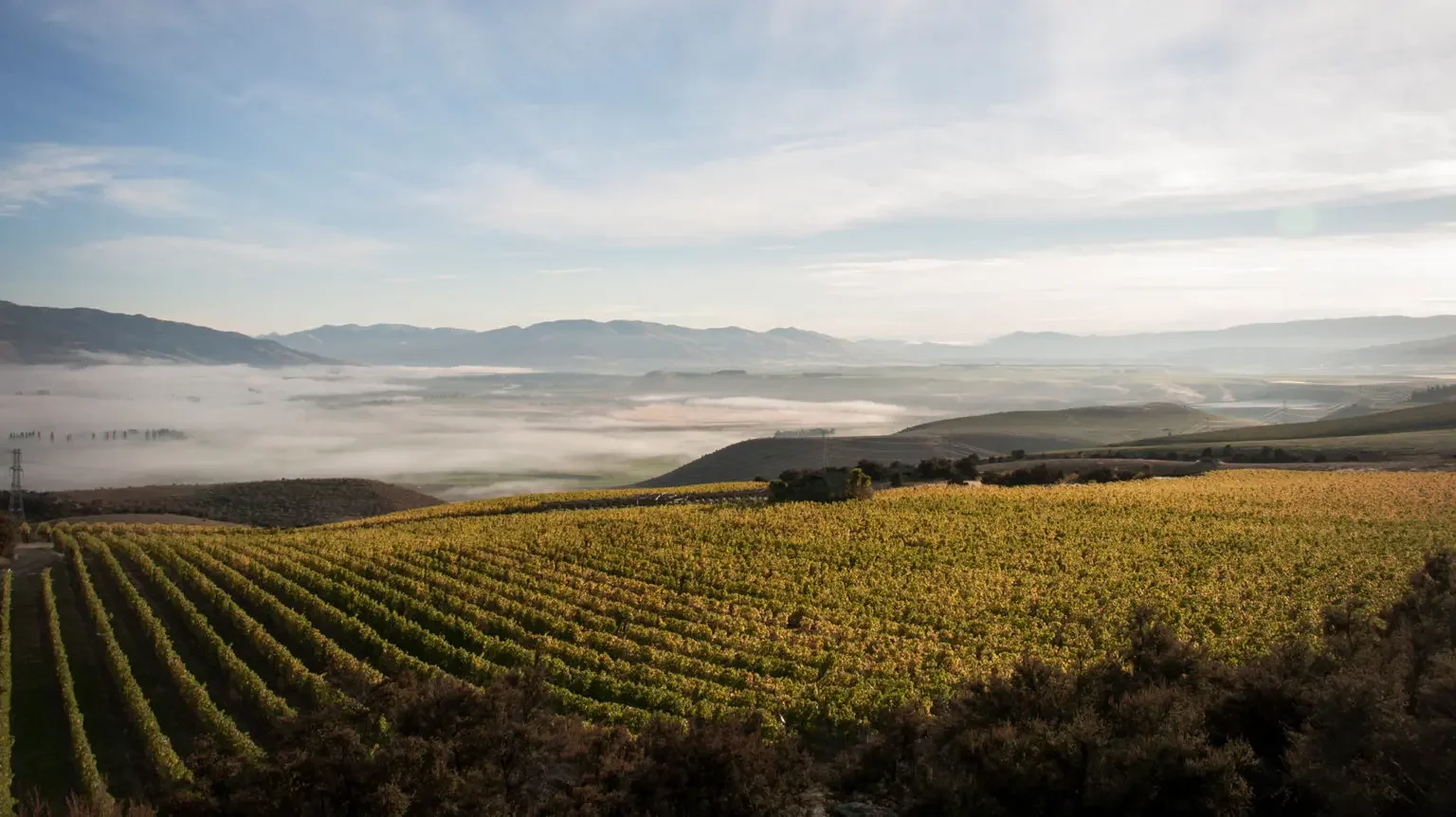 Prophet's Rock-Home Vineyard.webp