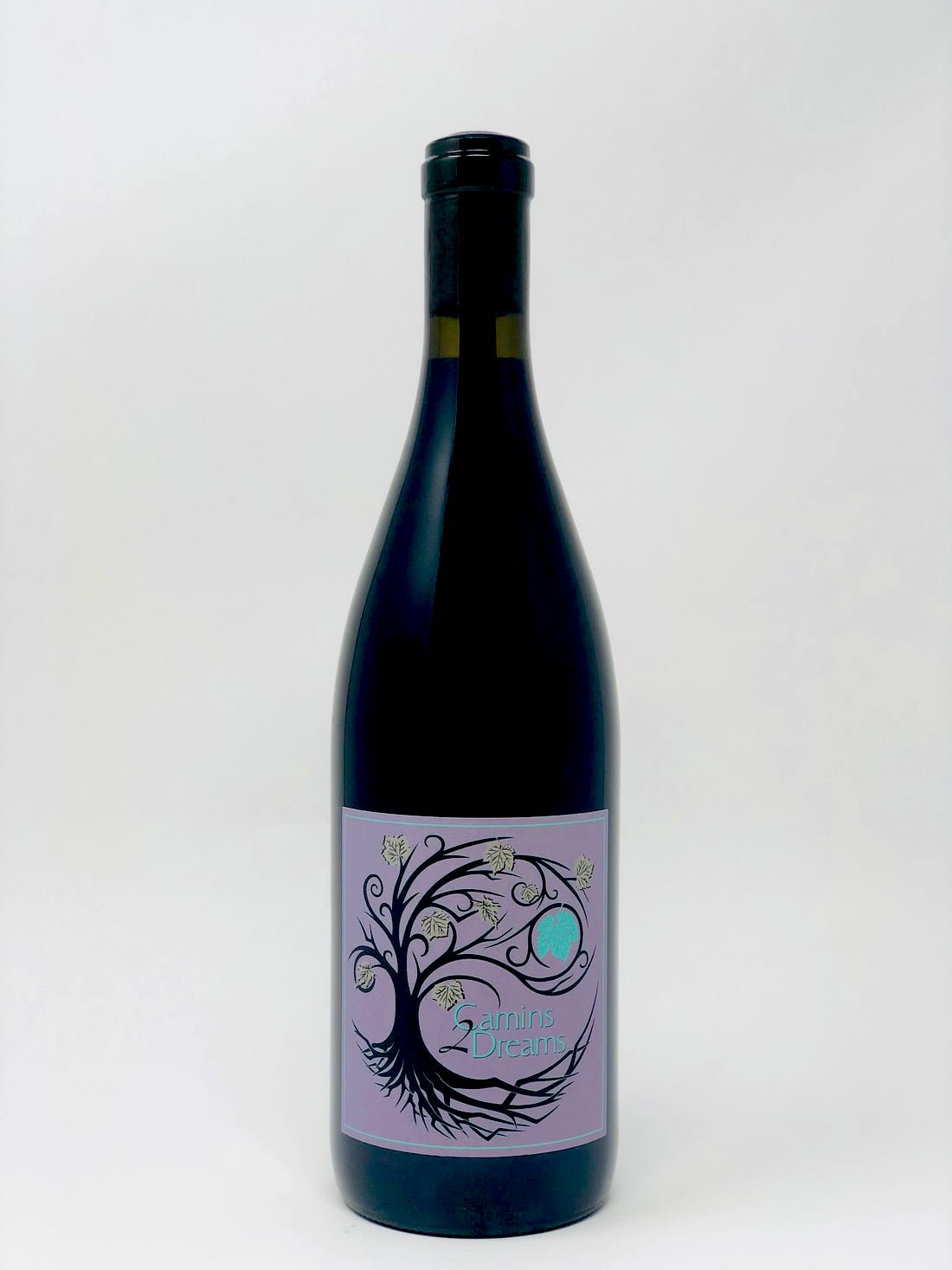 camins 2 dreams 2022 'yila' co-ferment – $49.95