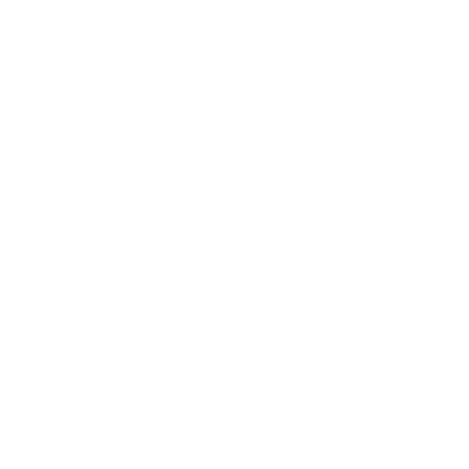 bowery presents