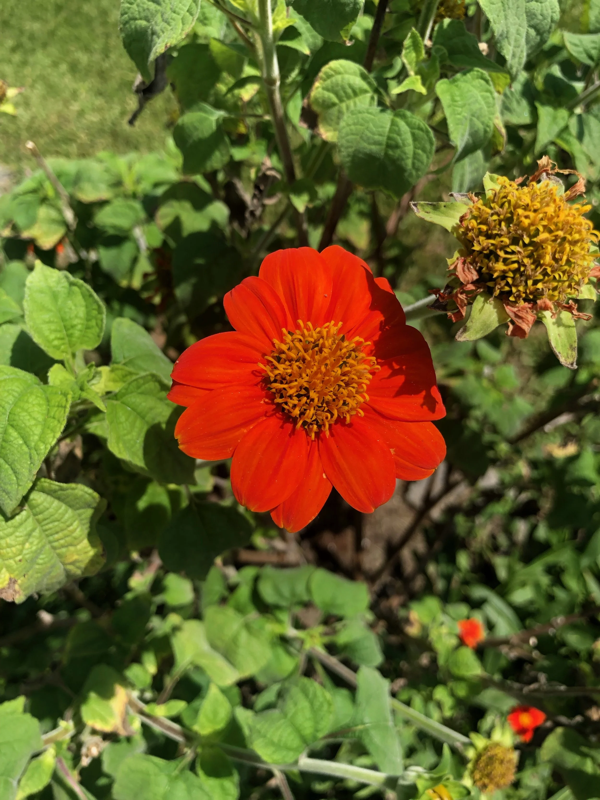 IMG_5410 2.jpeg