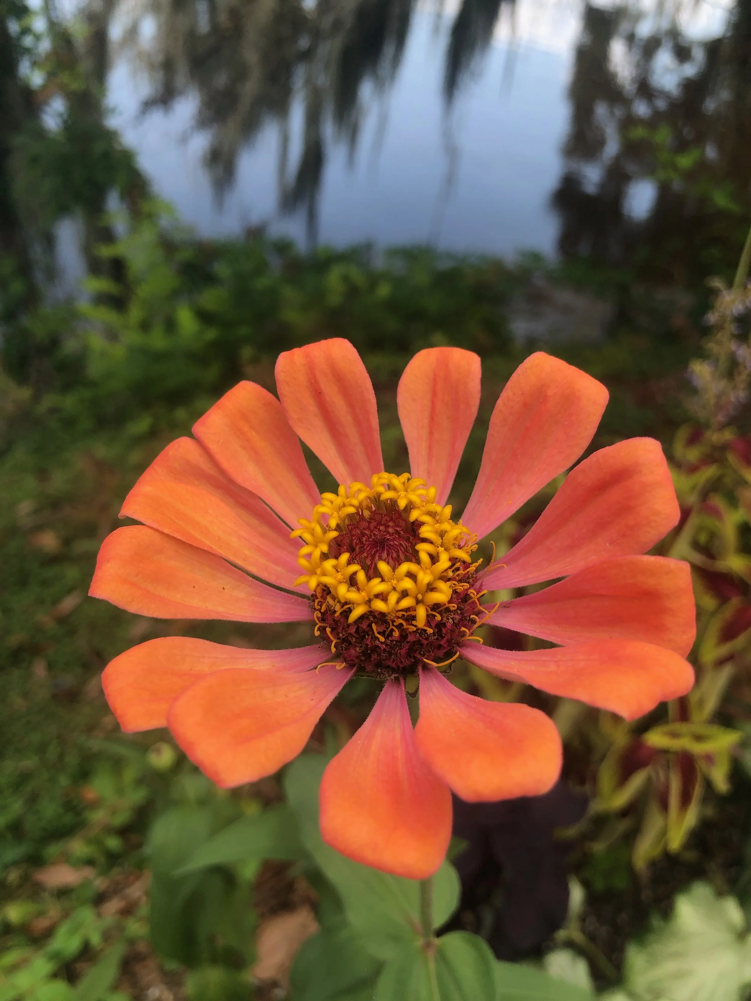 IMG_5432.jpeg