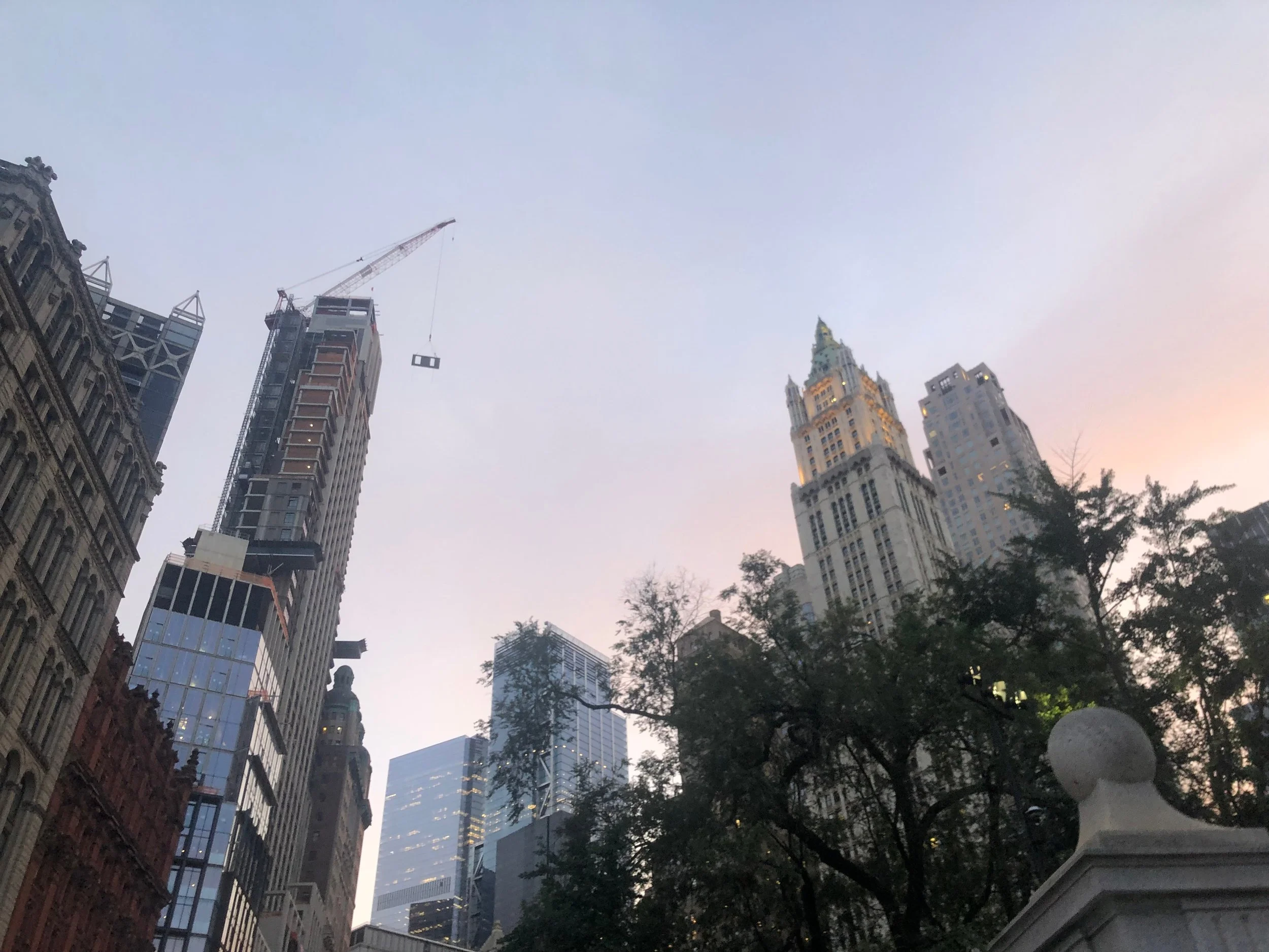 IMG_3589.jpeg