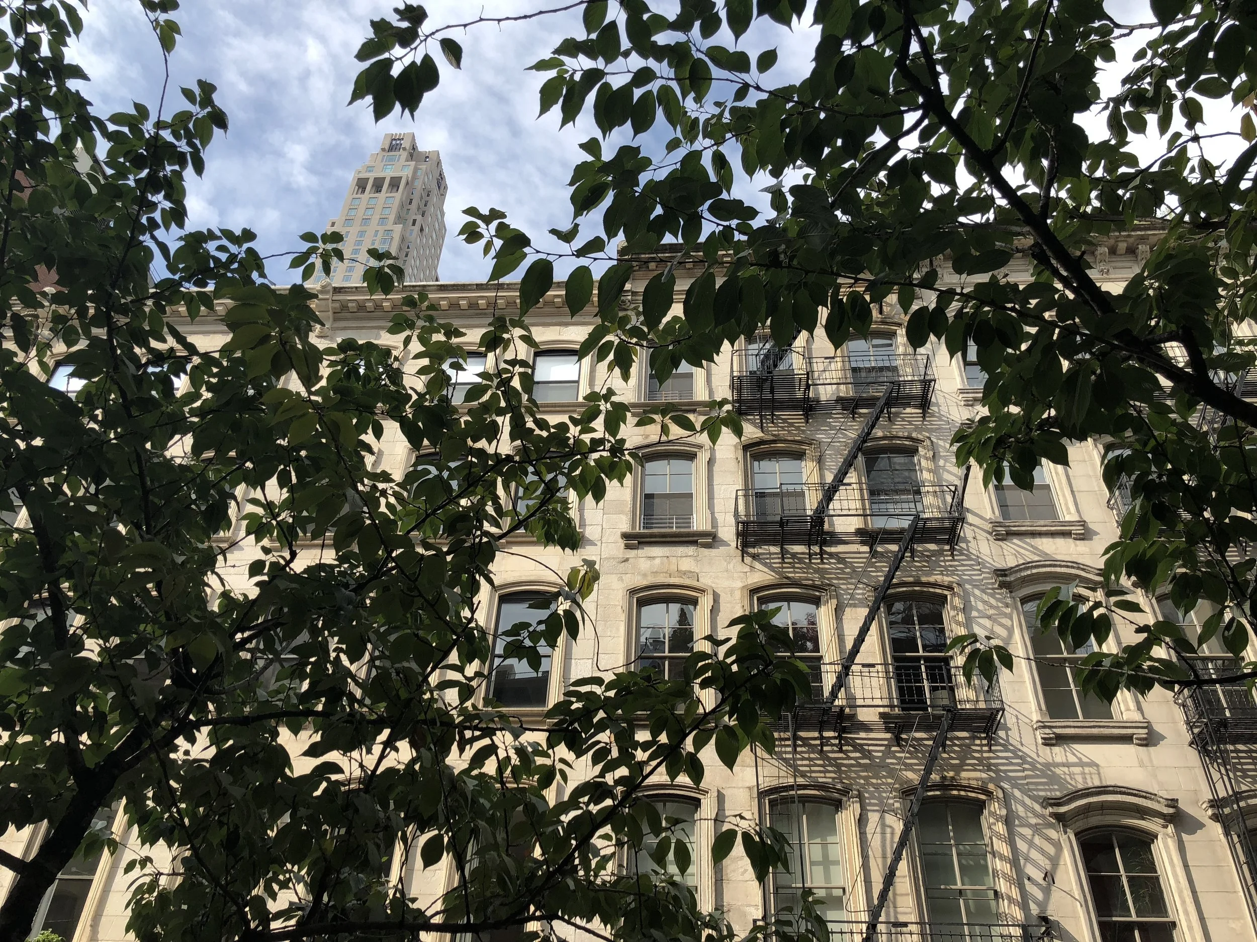 IMG_8619.jpeg