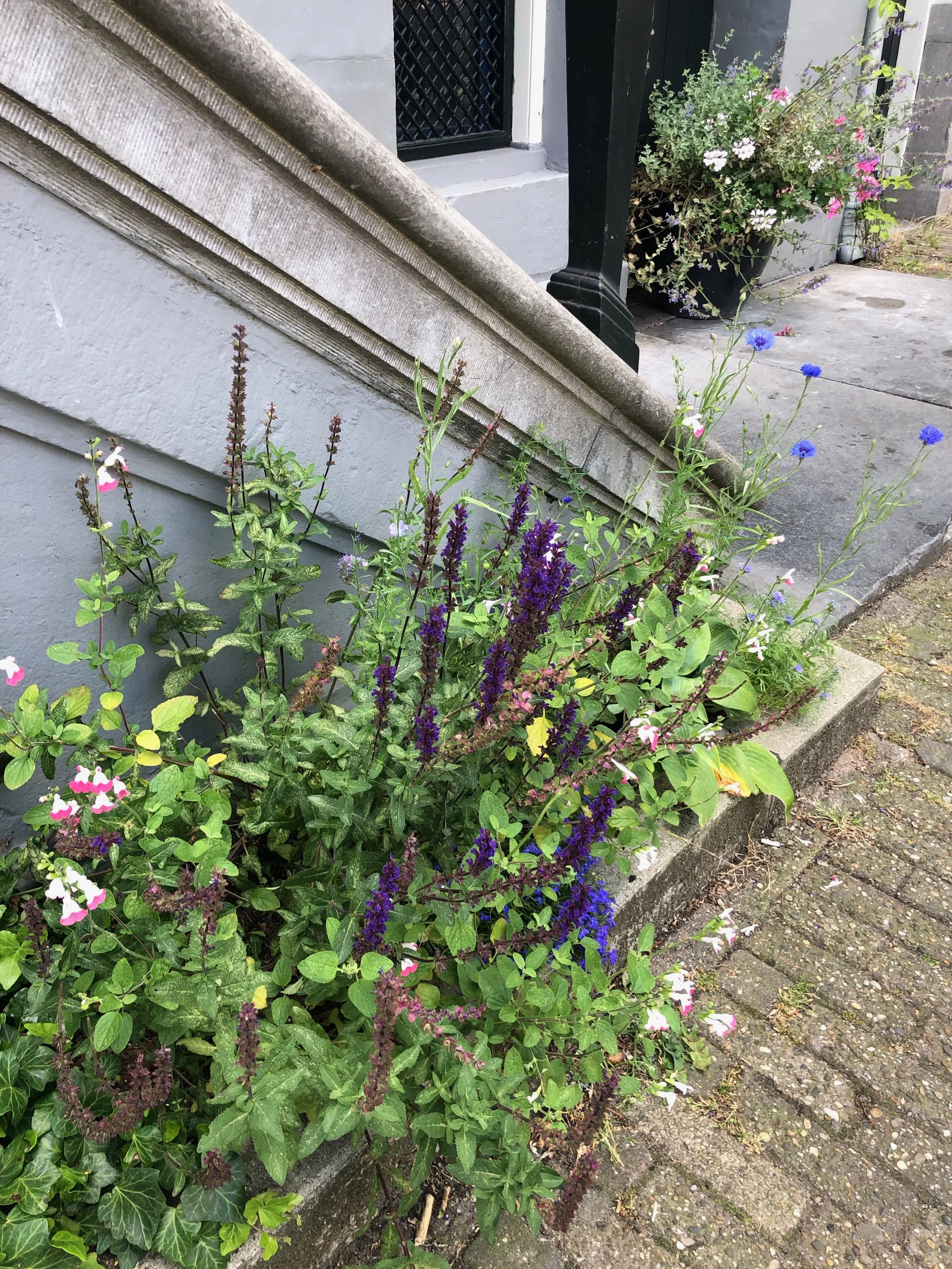 IMG_3009.jpeg