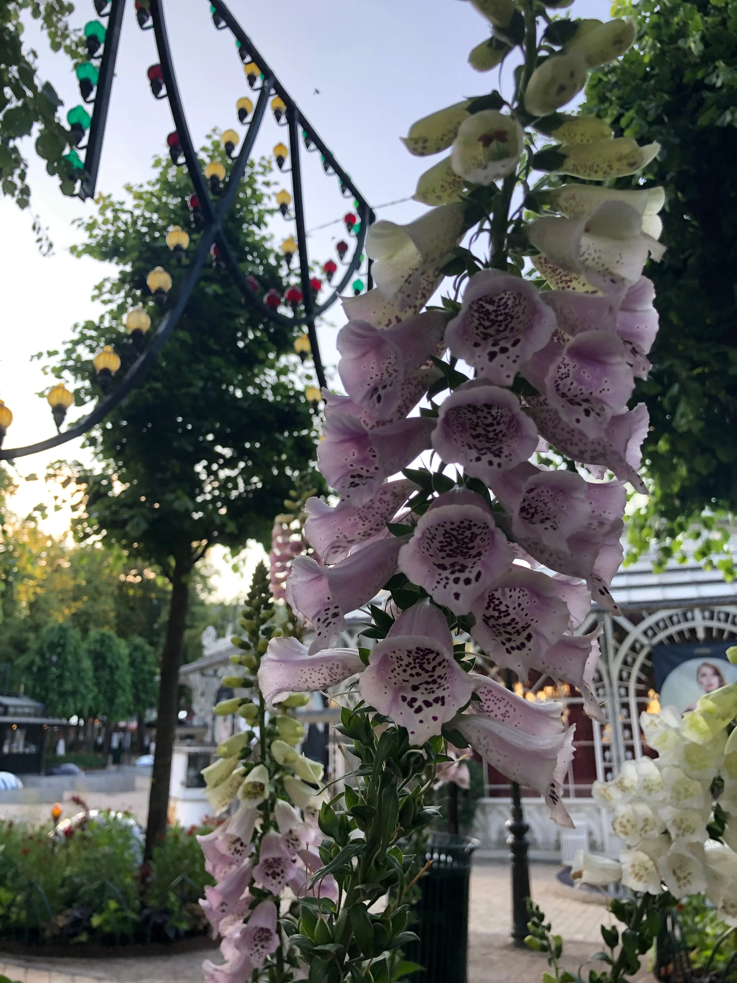 Tivoli Gardens, Copenhagen