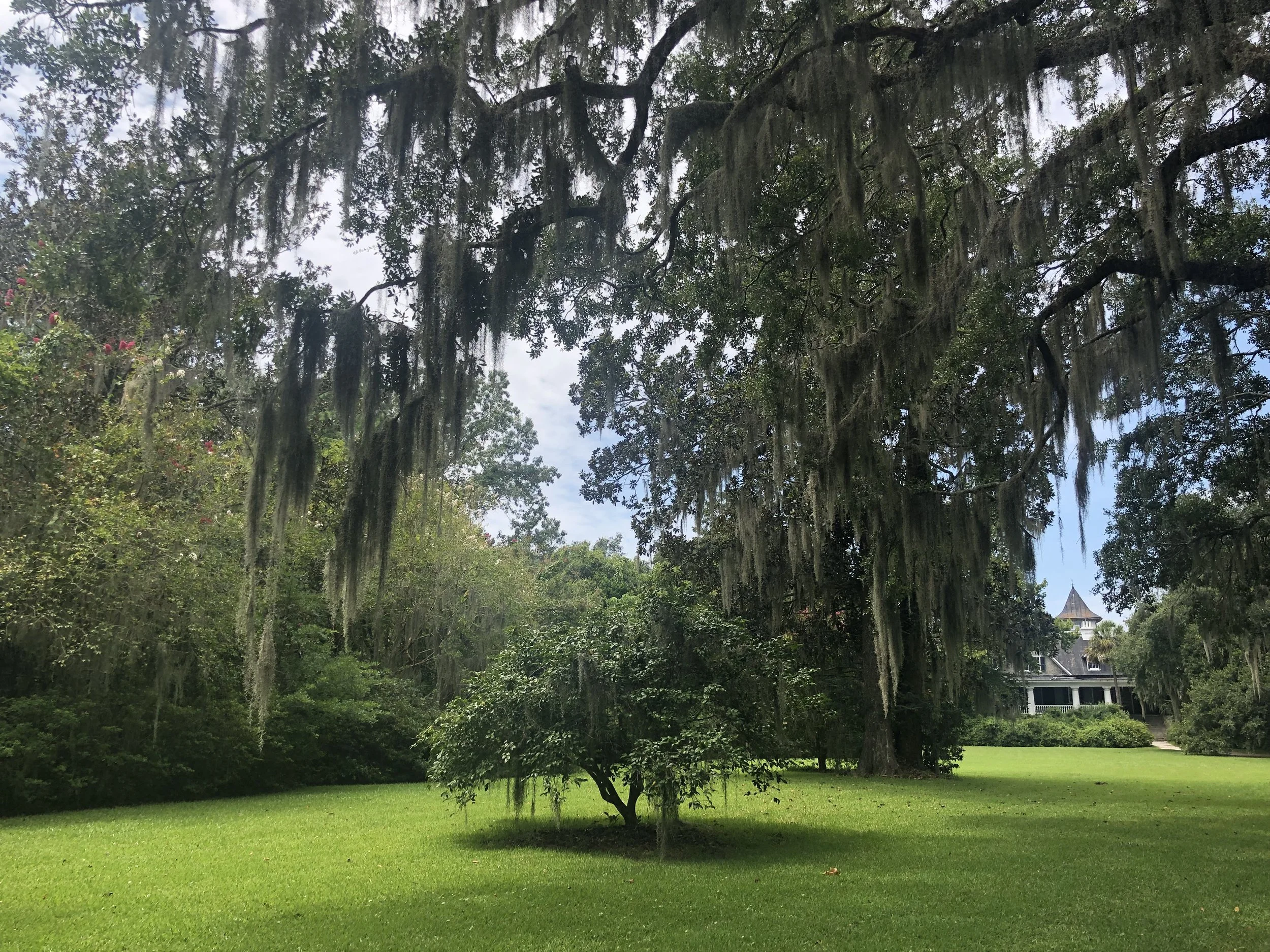 Magnolia Plantation, Charleston, South Carolina 