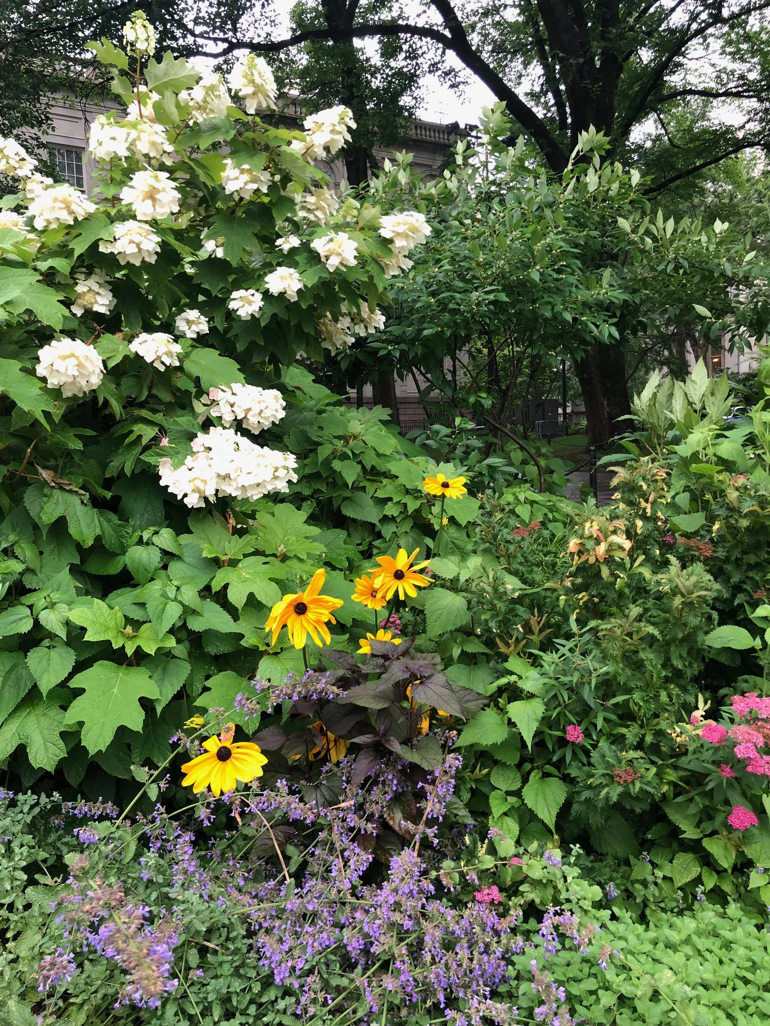 IMG_0379.jpeg