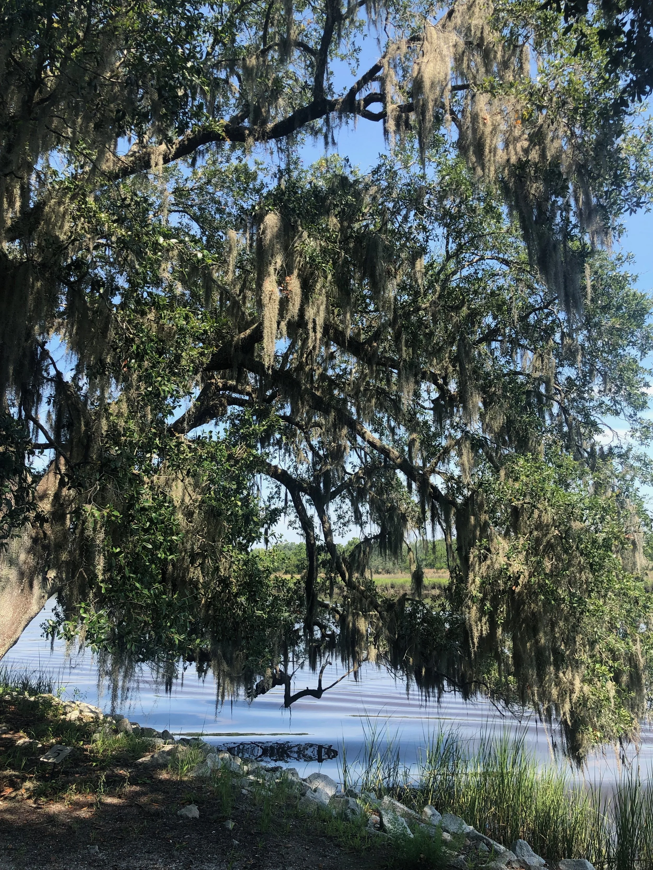 Drayton Hall, Charleston, South Carolina