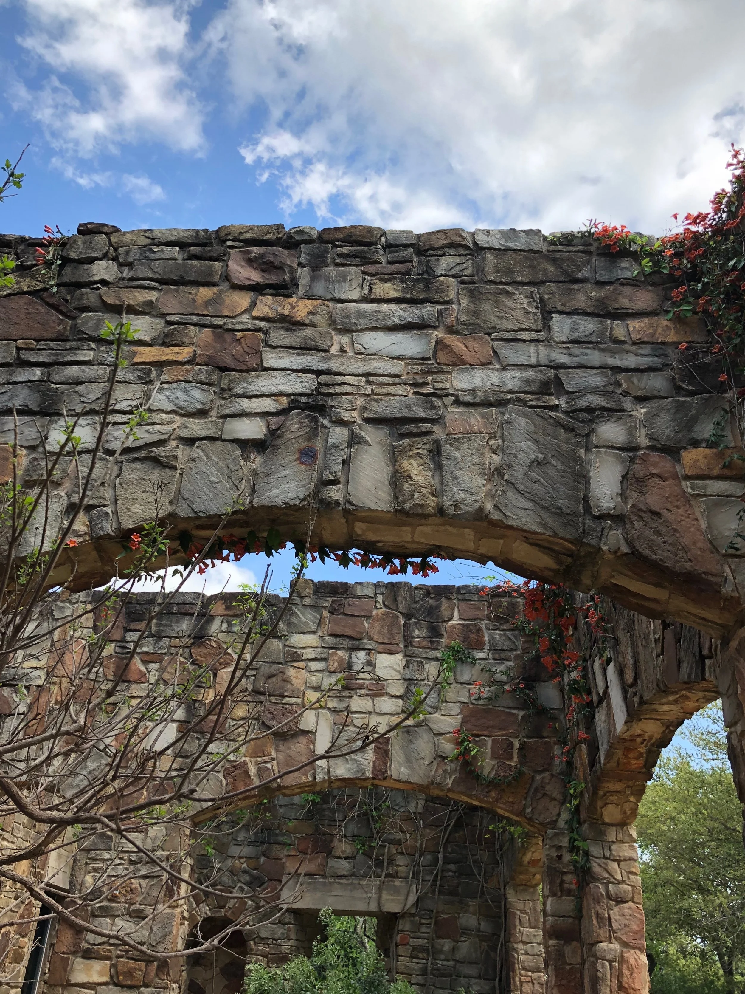Lady Bird Johnson Wildflower Center 