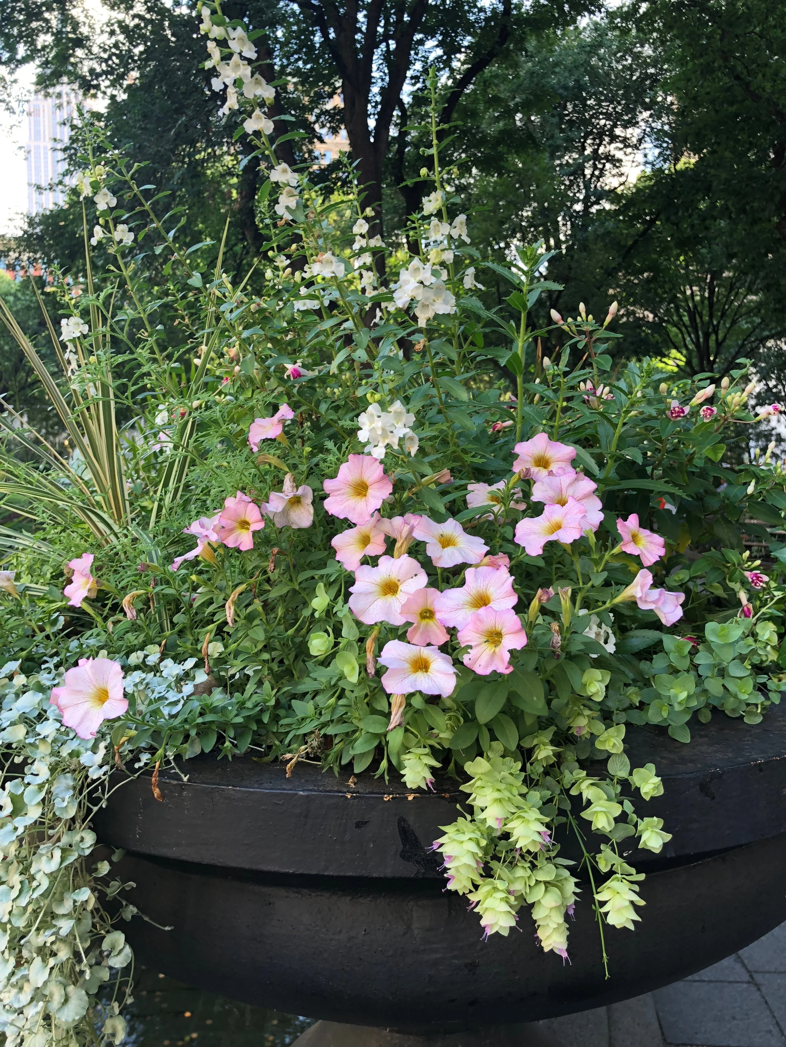 Madison Square Park 
