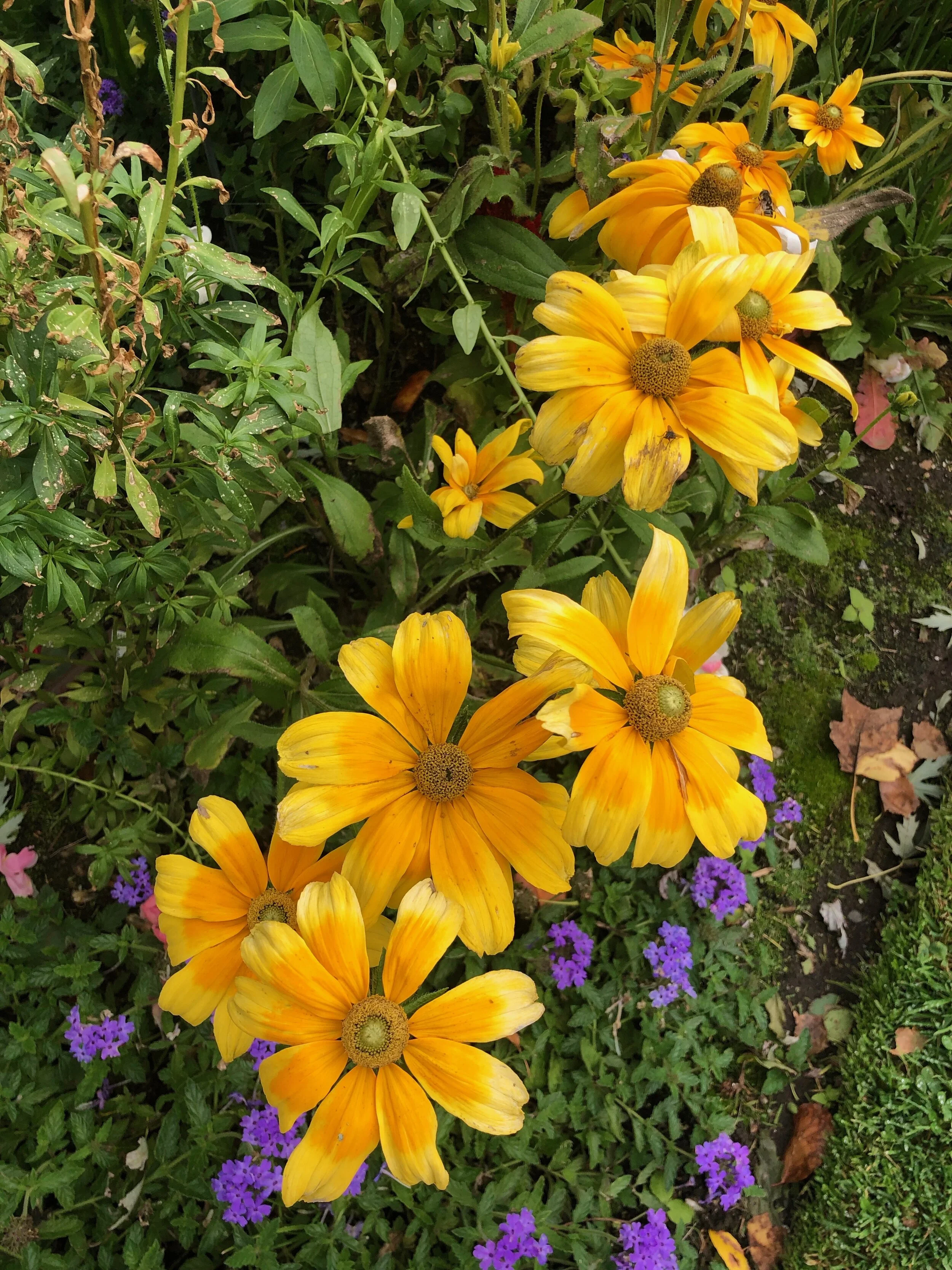 IMG_0057.jpeg