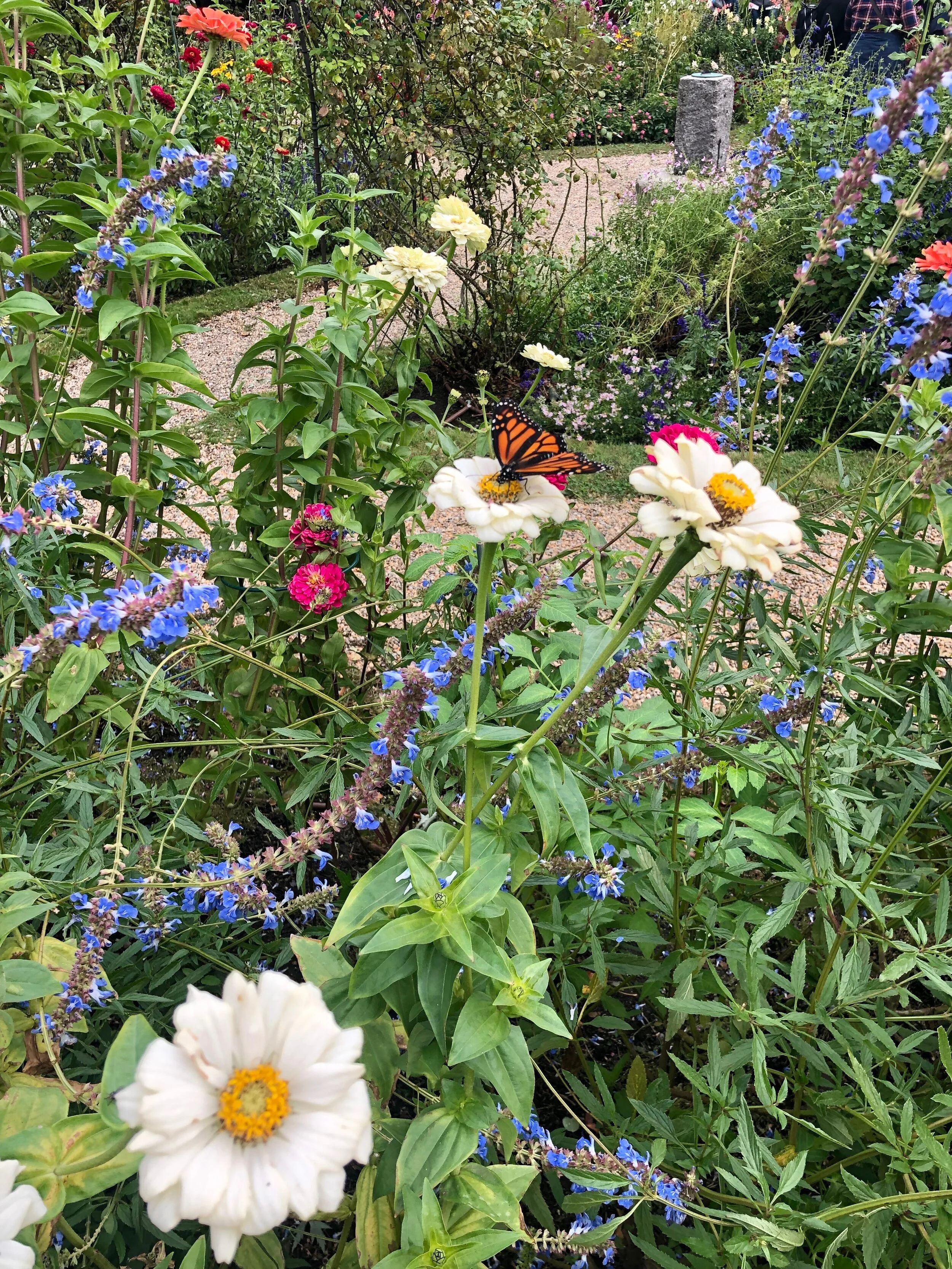 IMG_0043.jpeg