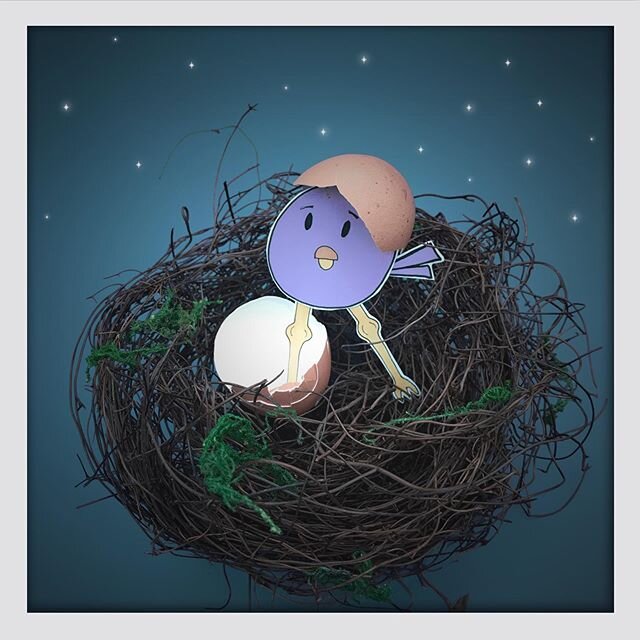 Social Distance Hatching: one per nest please 🐣 #chick #hatchingchicks #birdnests #easter