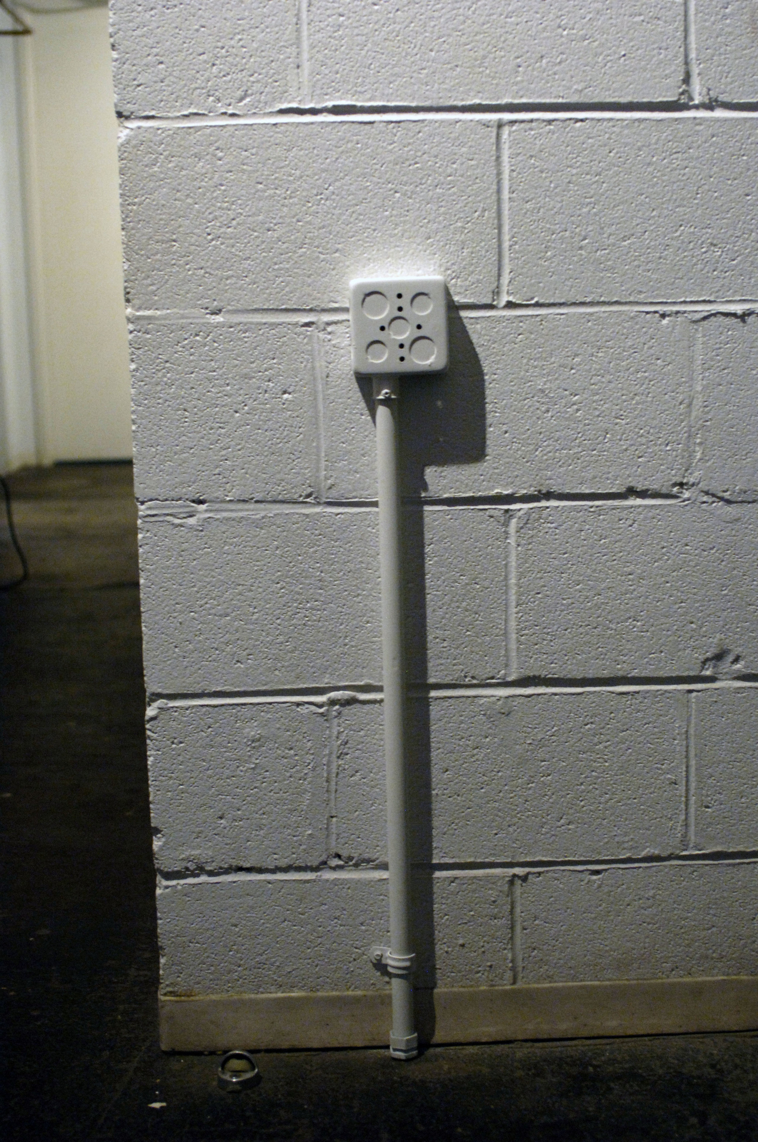 hall 1.jpg