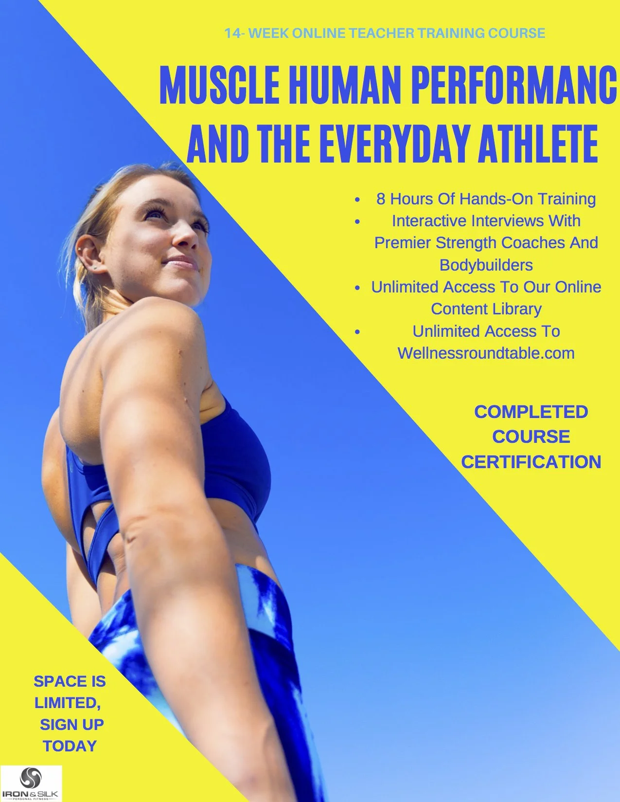 Muscle Human Performance And The Everyday Athlete 