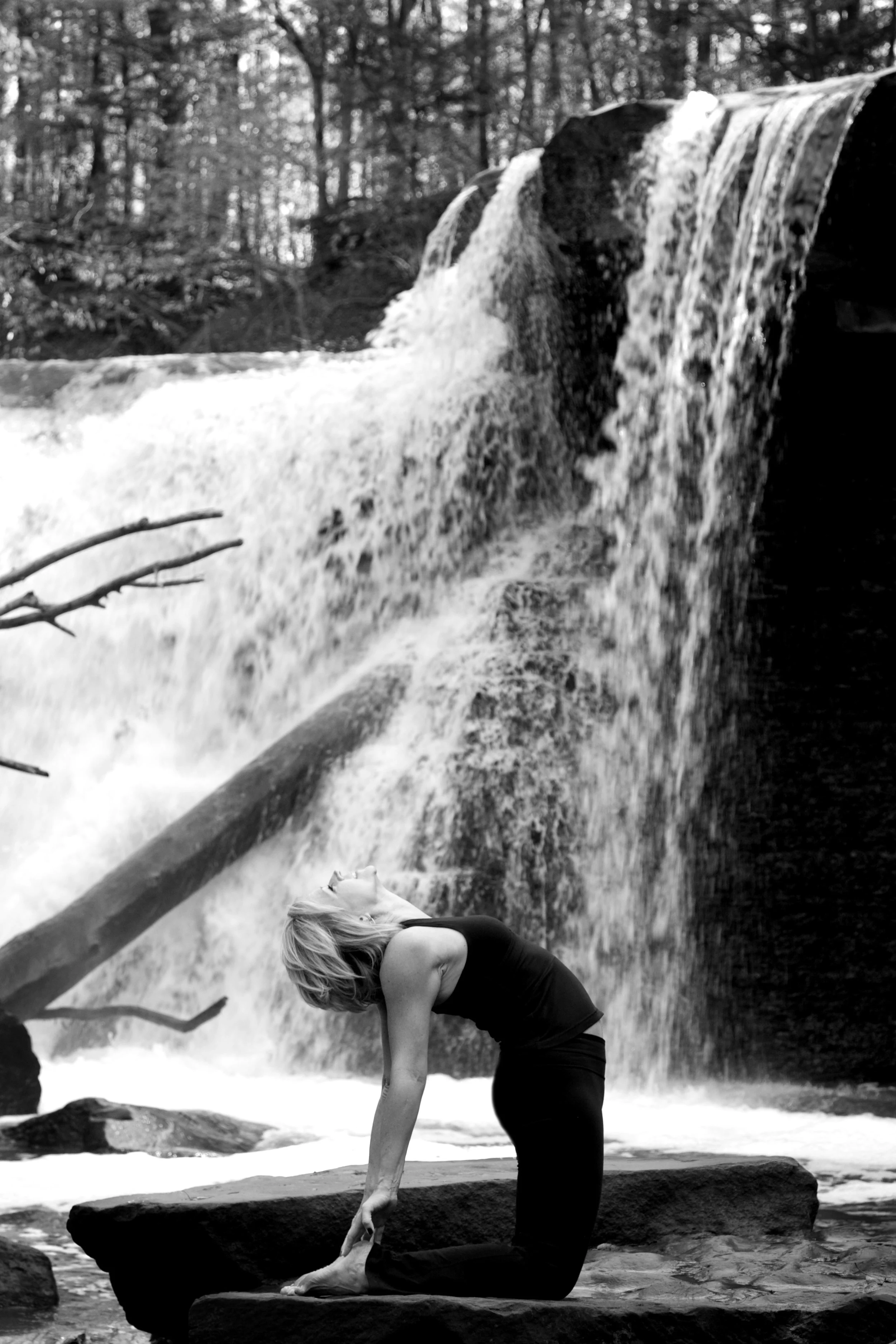 Yoga or Pilates Private/ 1 hour session