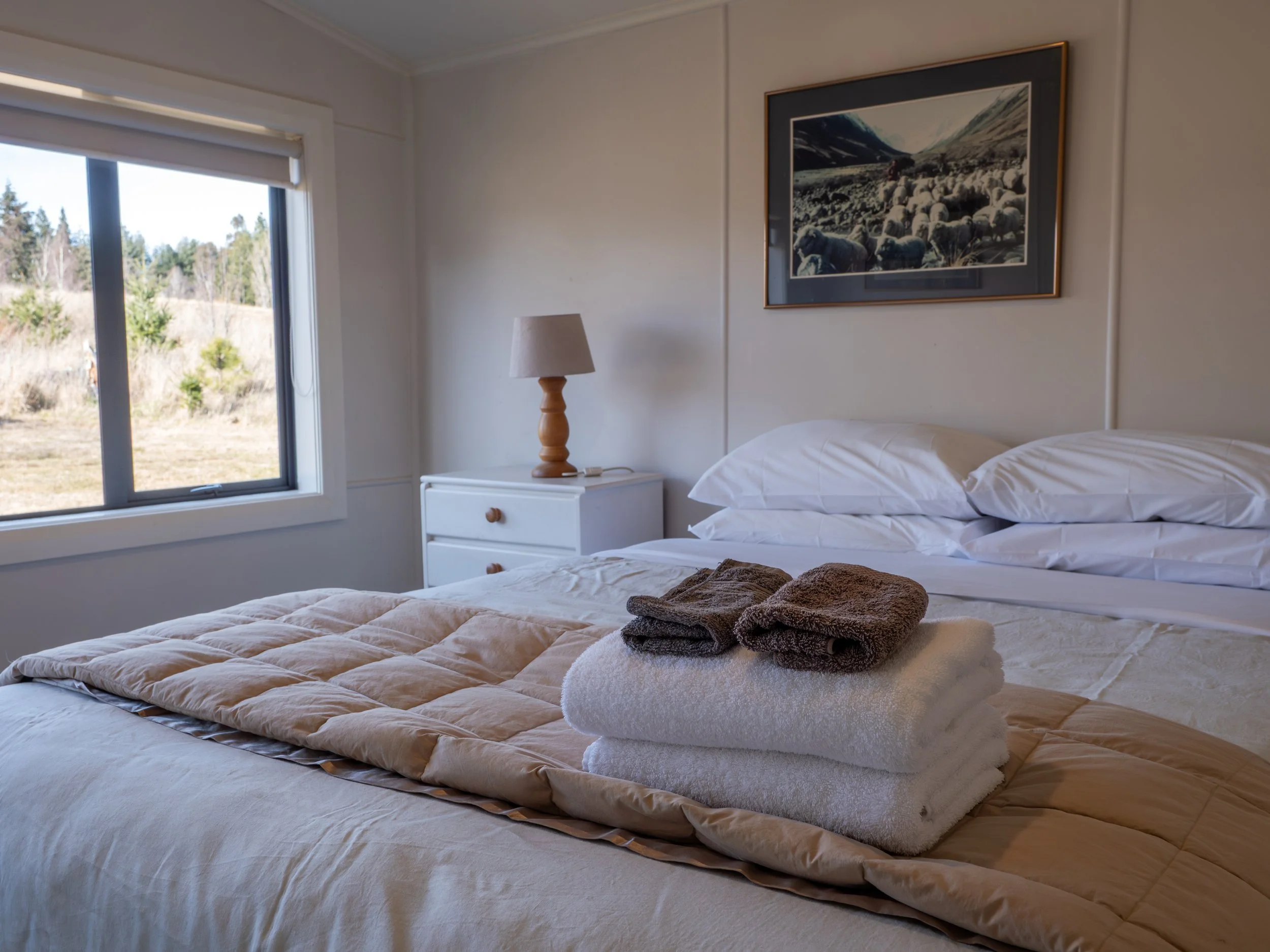 Pine Cottage P2969265-edited.jpg