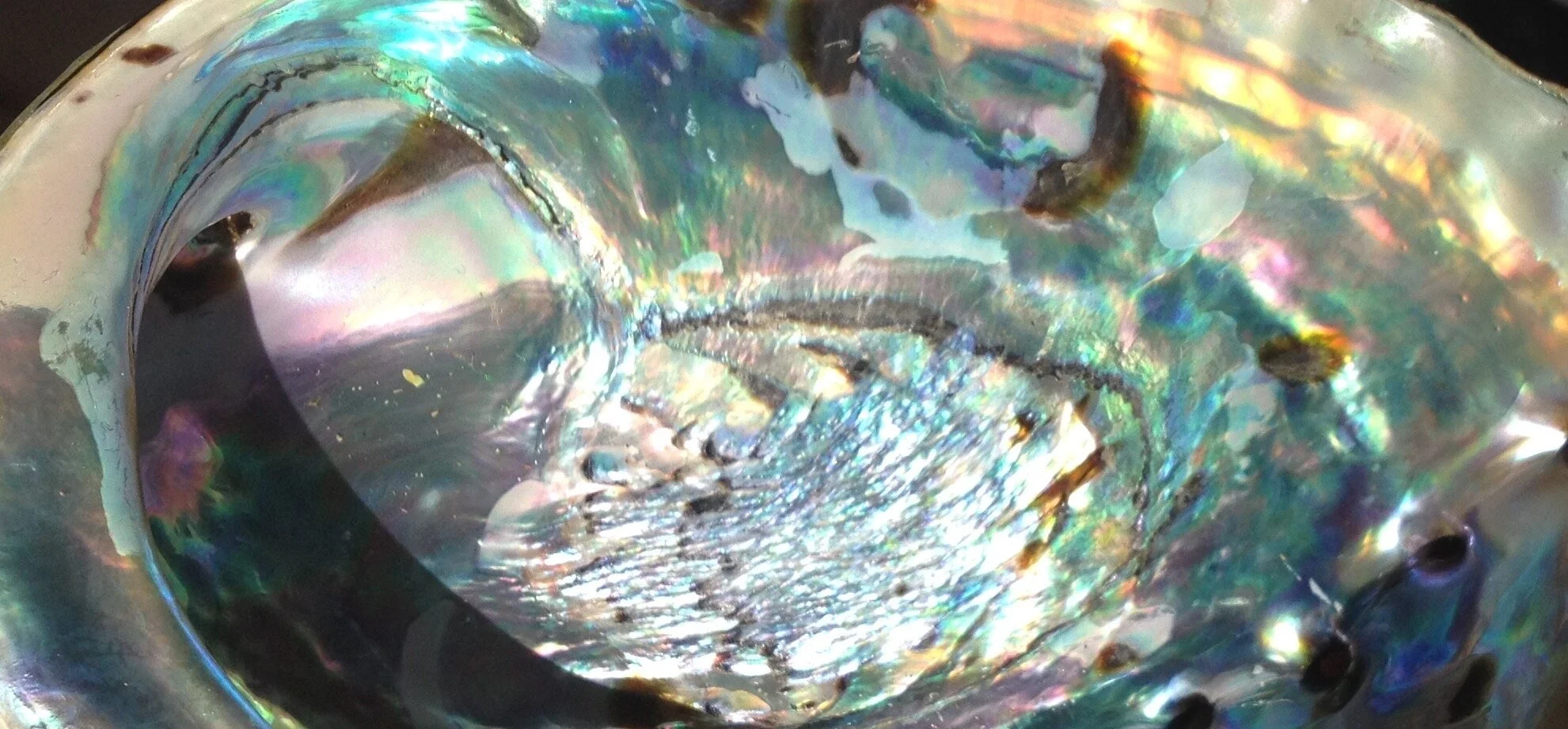 Energy Clearing