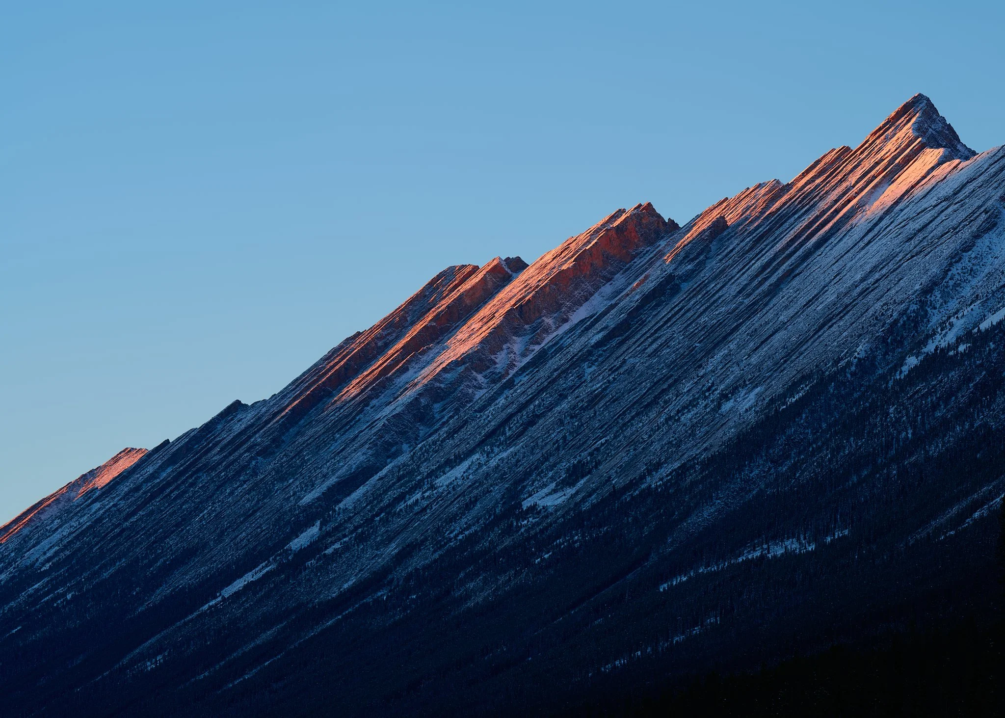 _DSC6690.jpg