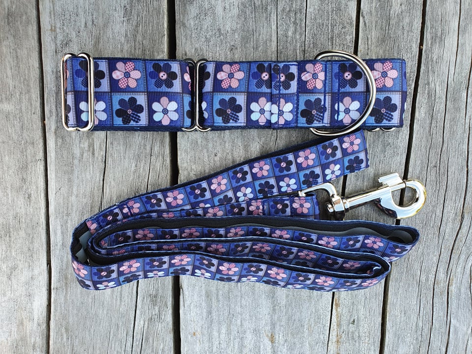 1.5 inch Collar/Lead Set