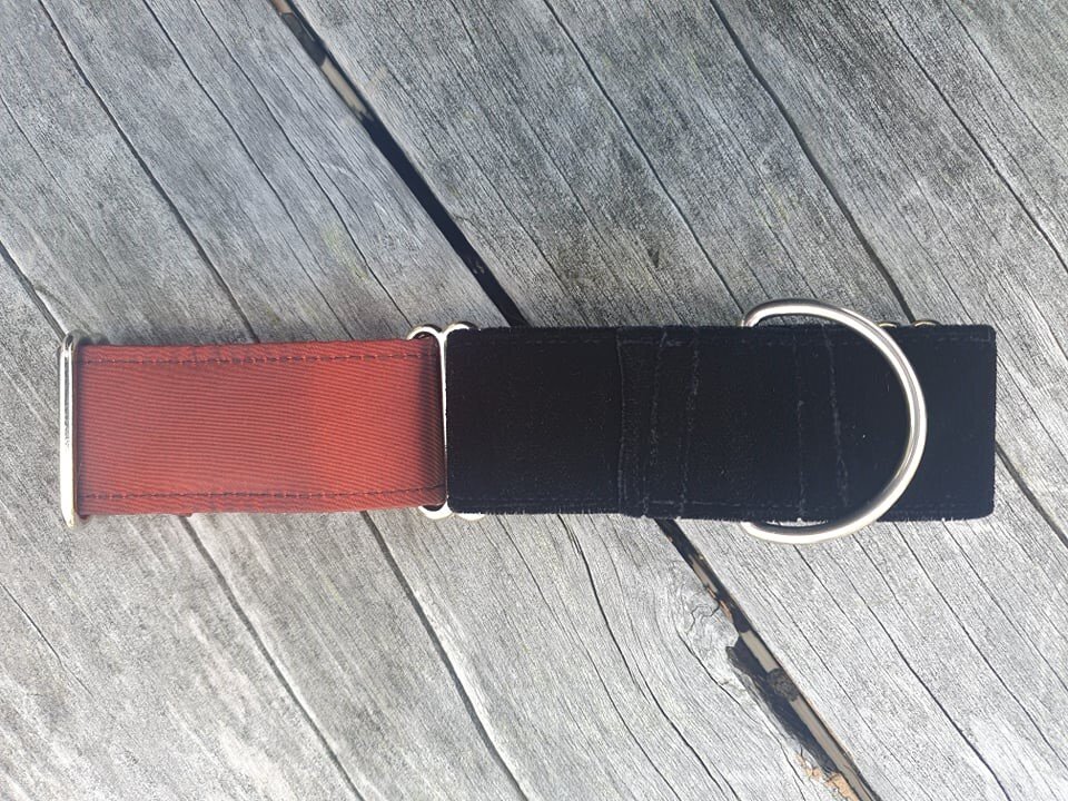 1.5 inch Martingale Collar