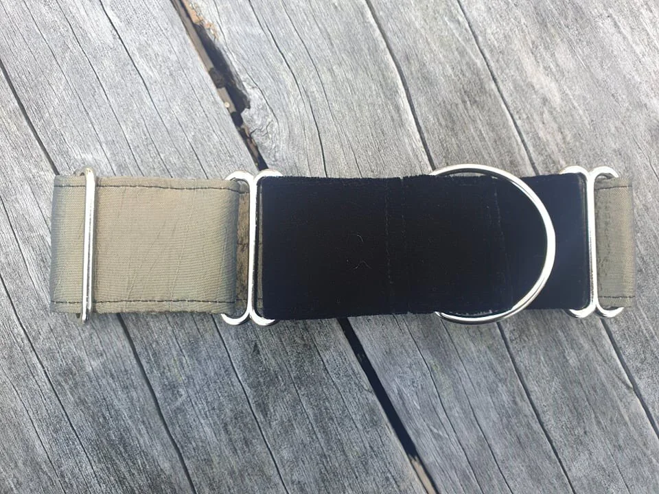 2 inch Martingale Collar