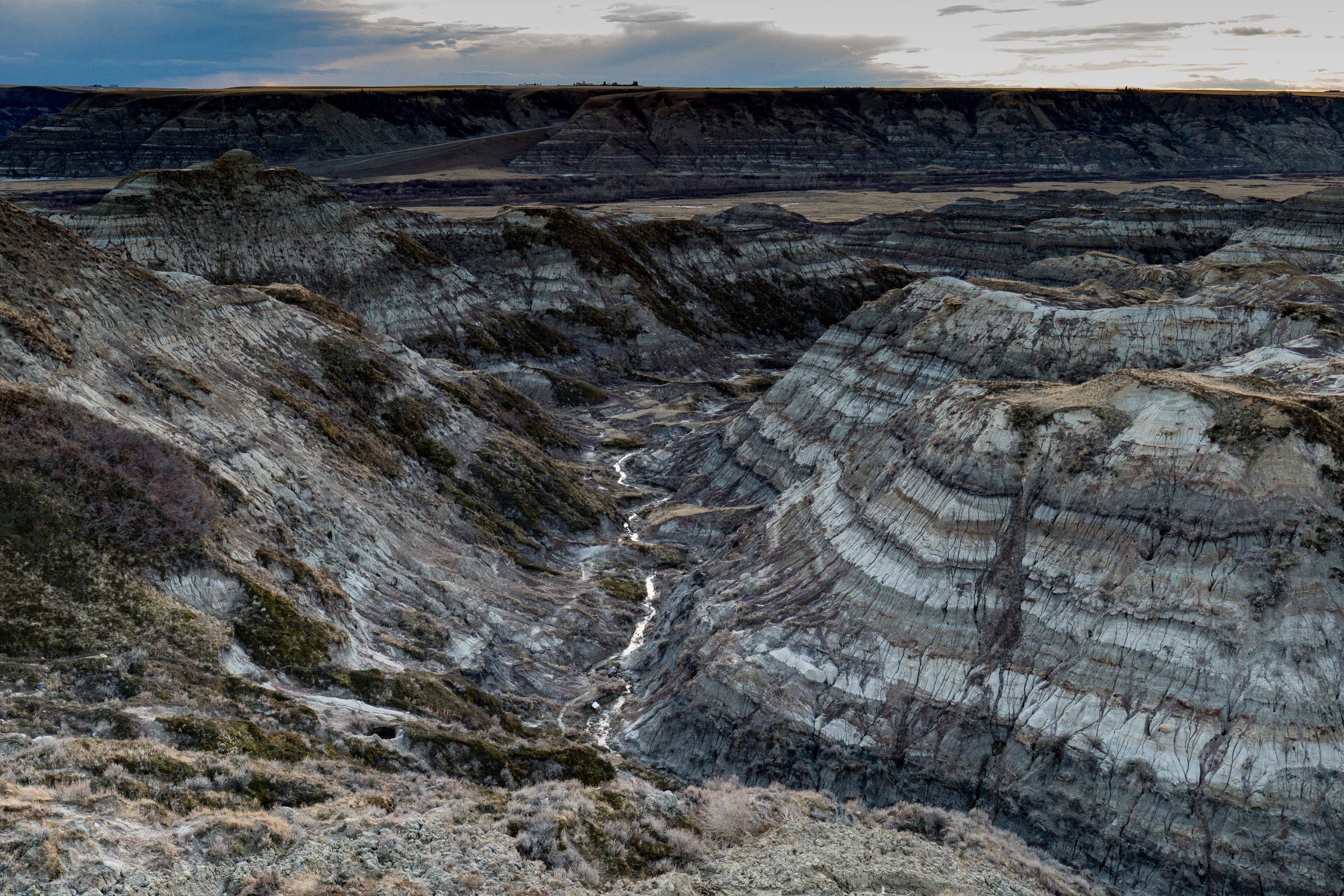 Horsethief Canyon, Alberta