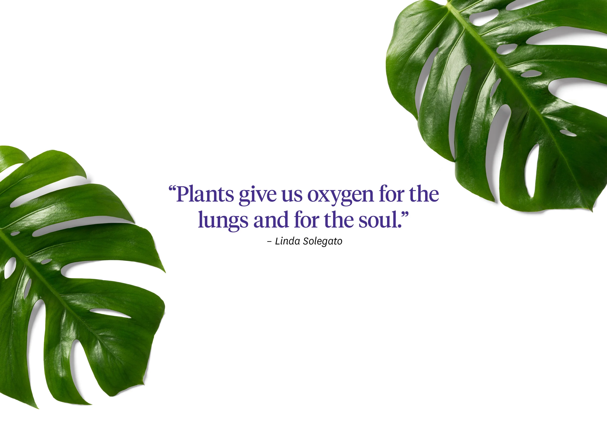 MSS1008_WELLNESS WEEK_CONCEPT_PRES_FA_3.jpg