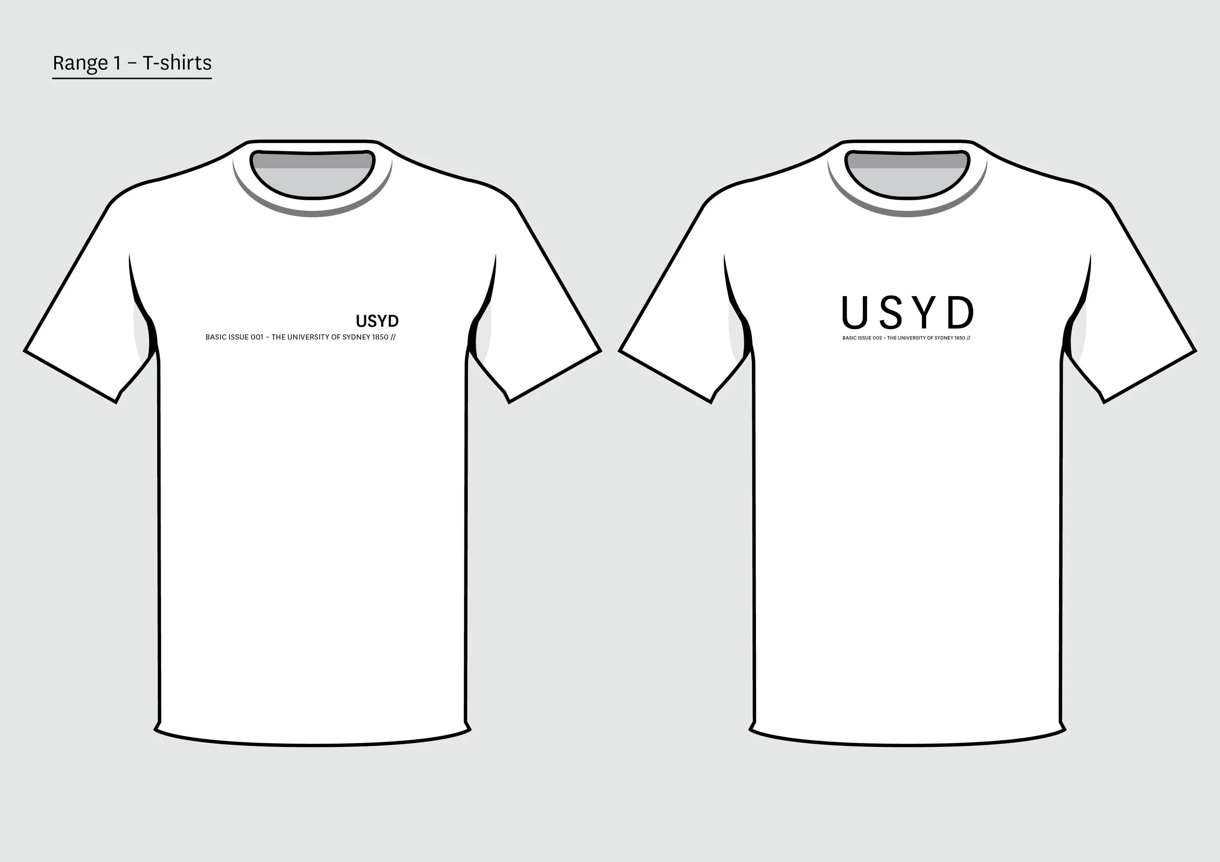 USYDBasics-Preso-4.jpg