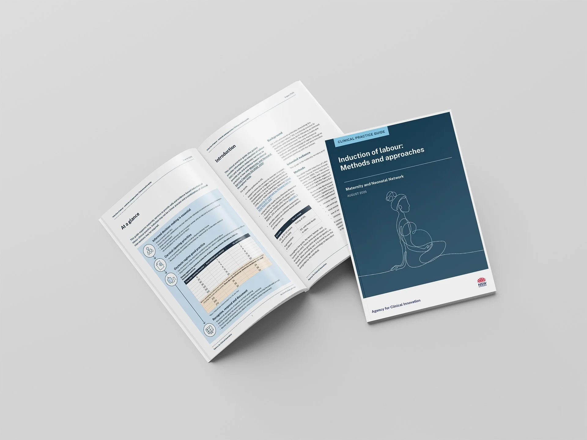 CPG Induction of labour - mockup.jpg