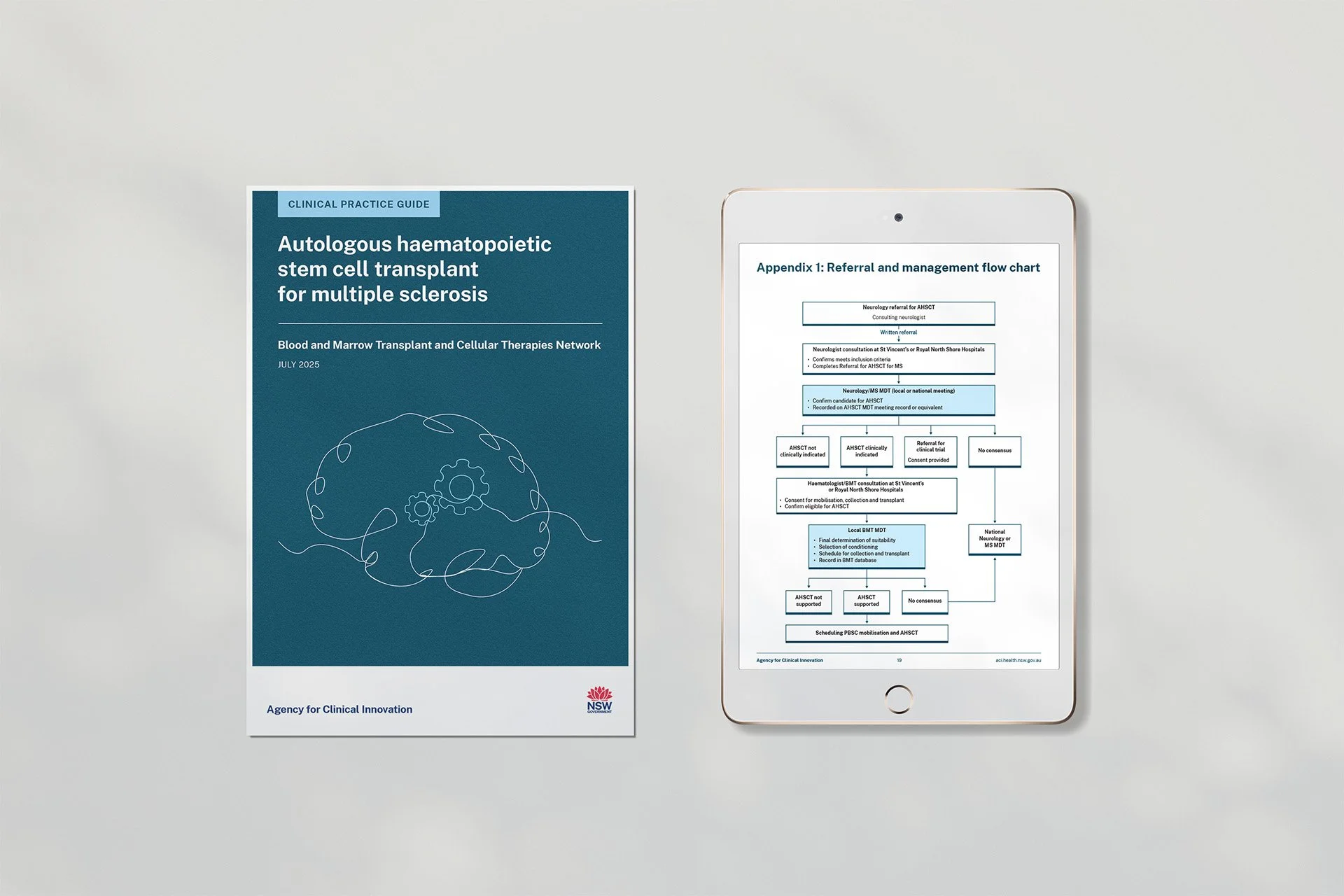 CPG Autologous - flowchart - tablet mockup.jpg