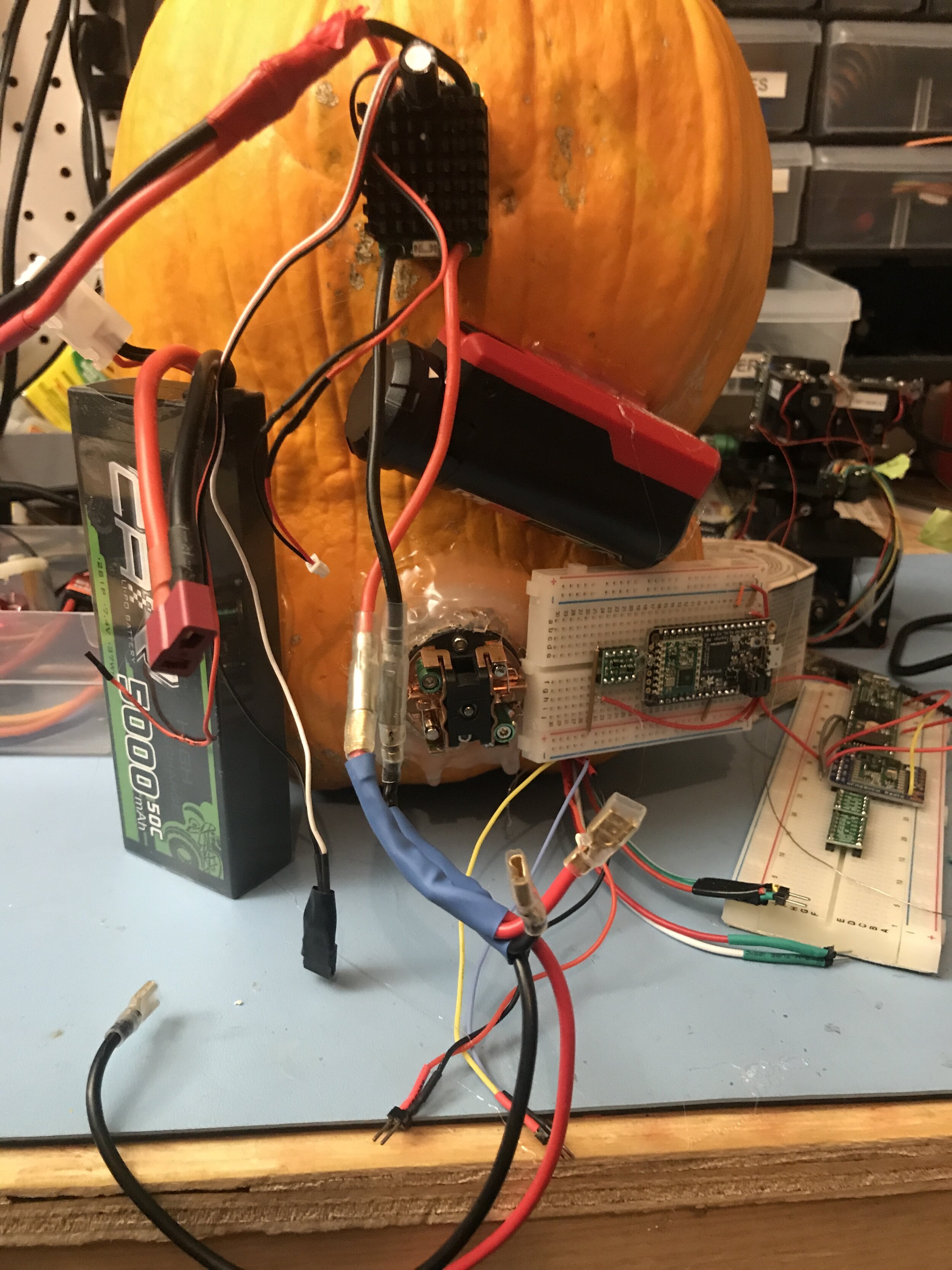 The Sloppy electronics to make my pumpkin the best one ever.