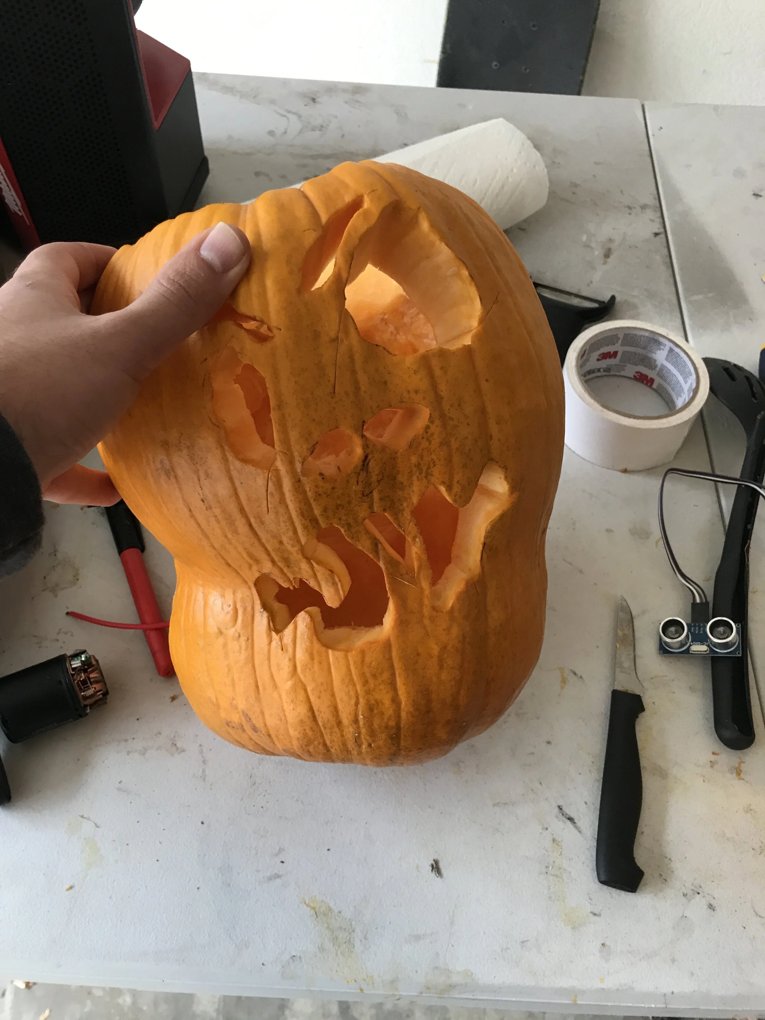 Jack-o-lanterns are cool, but with extra time on my hands, why not go the extra mile...